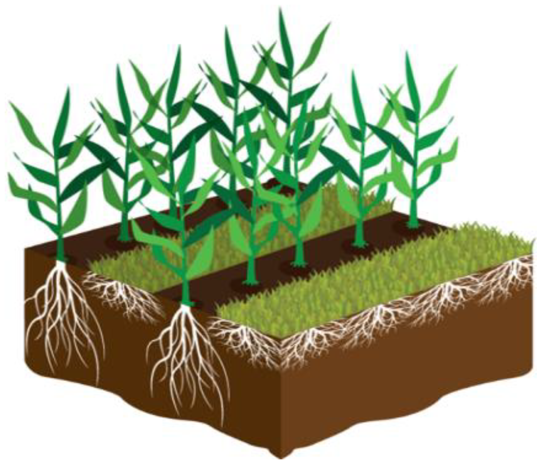 Sustainability 16 07112 g001