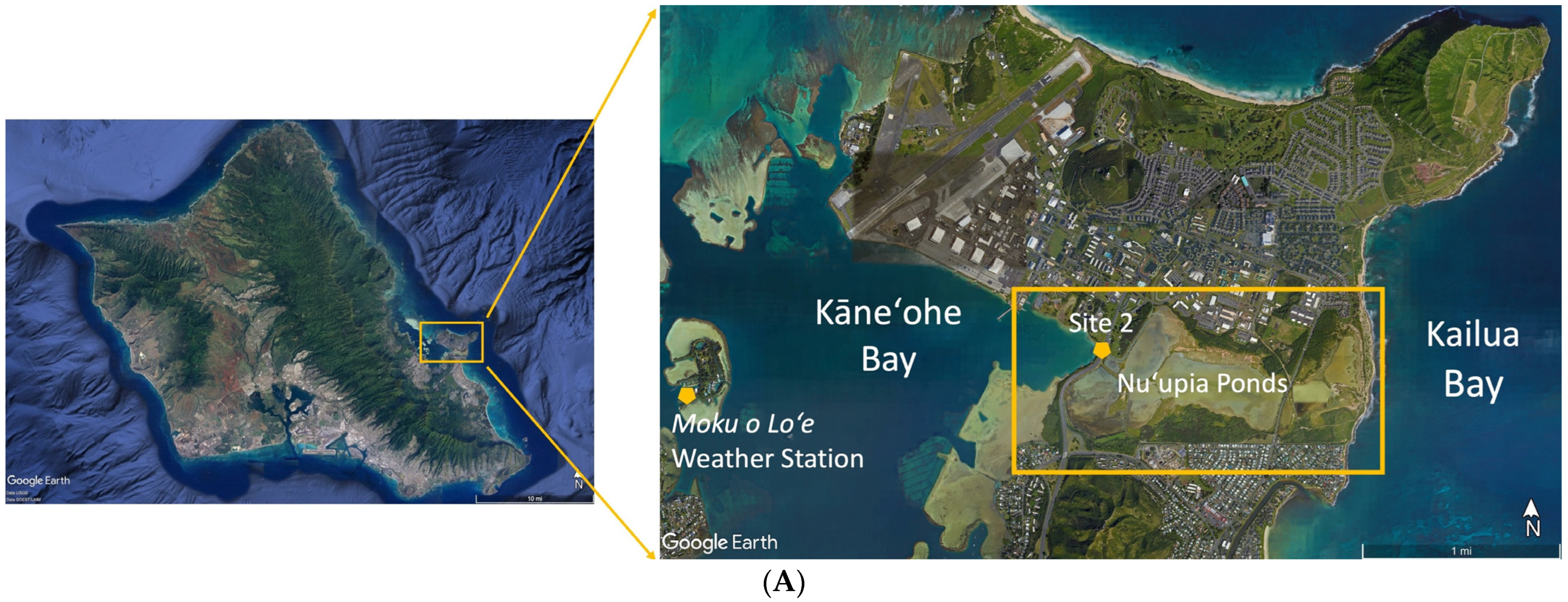 Sustainability 16 07159 g001a