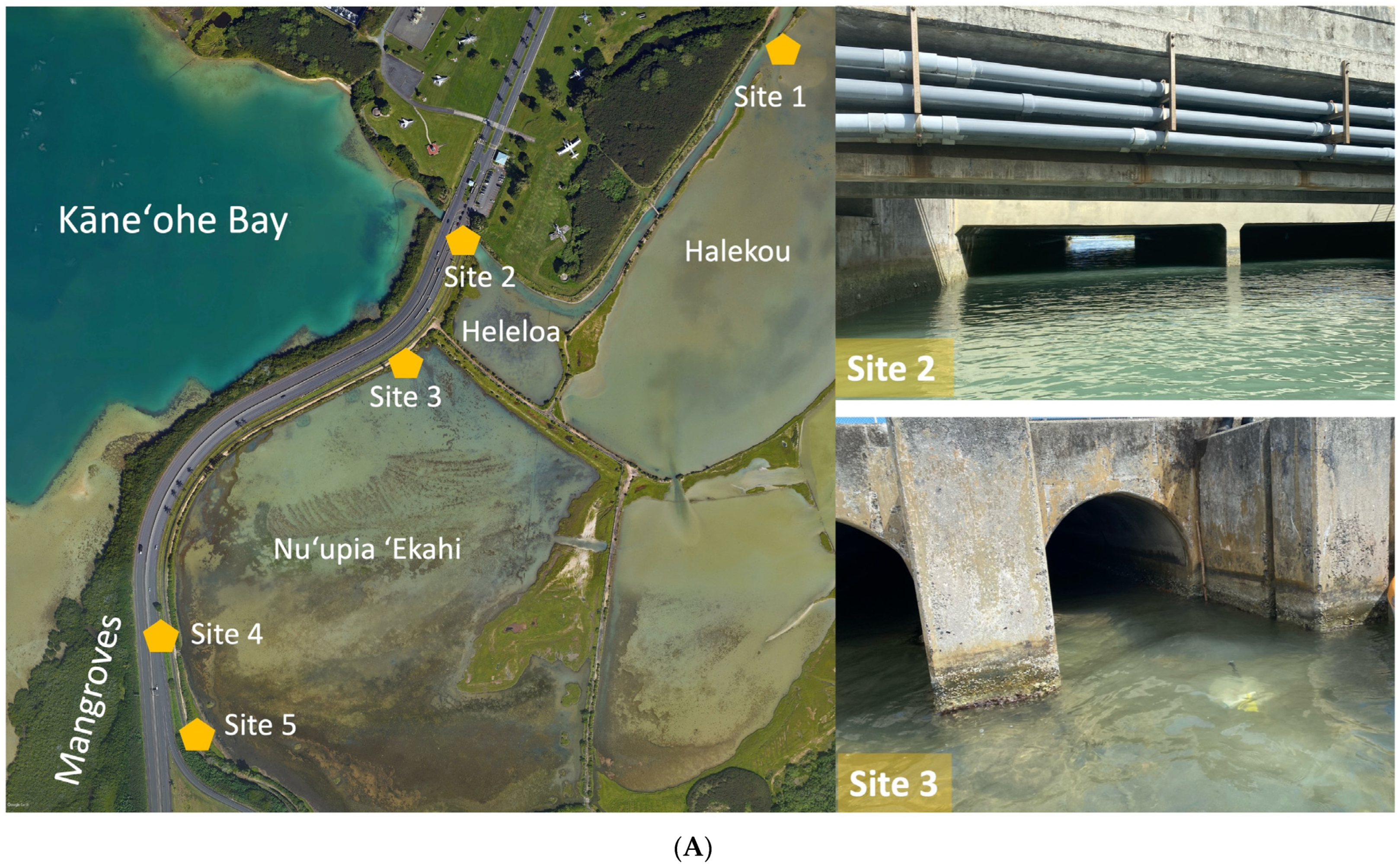 Sustainability 16 07159 g002a