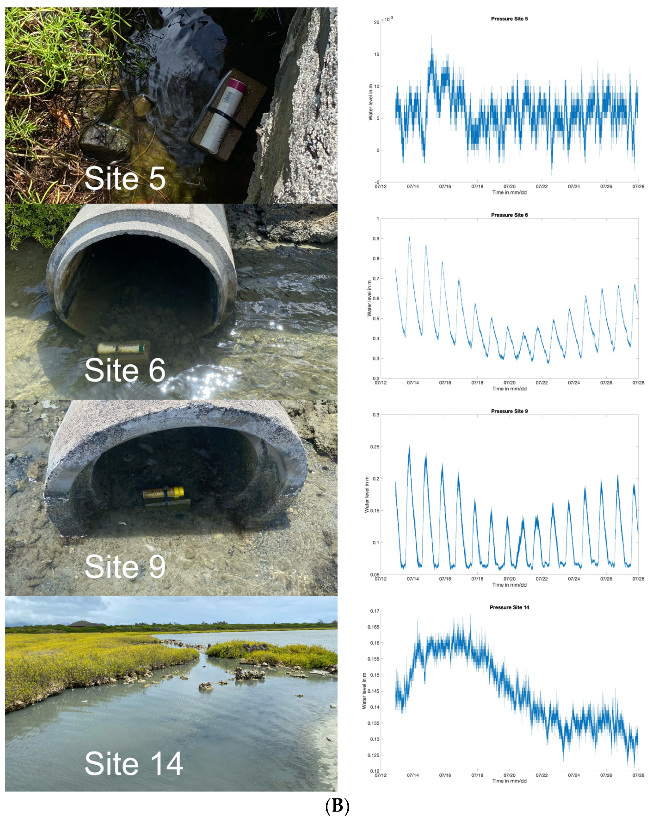 Sustainability 16 07159 g004b