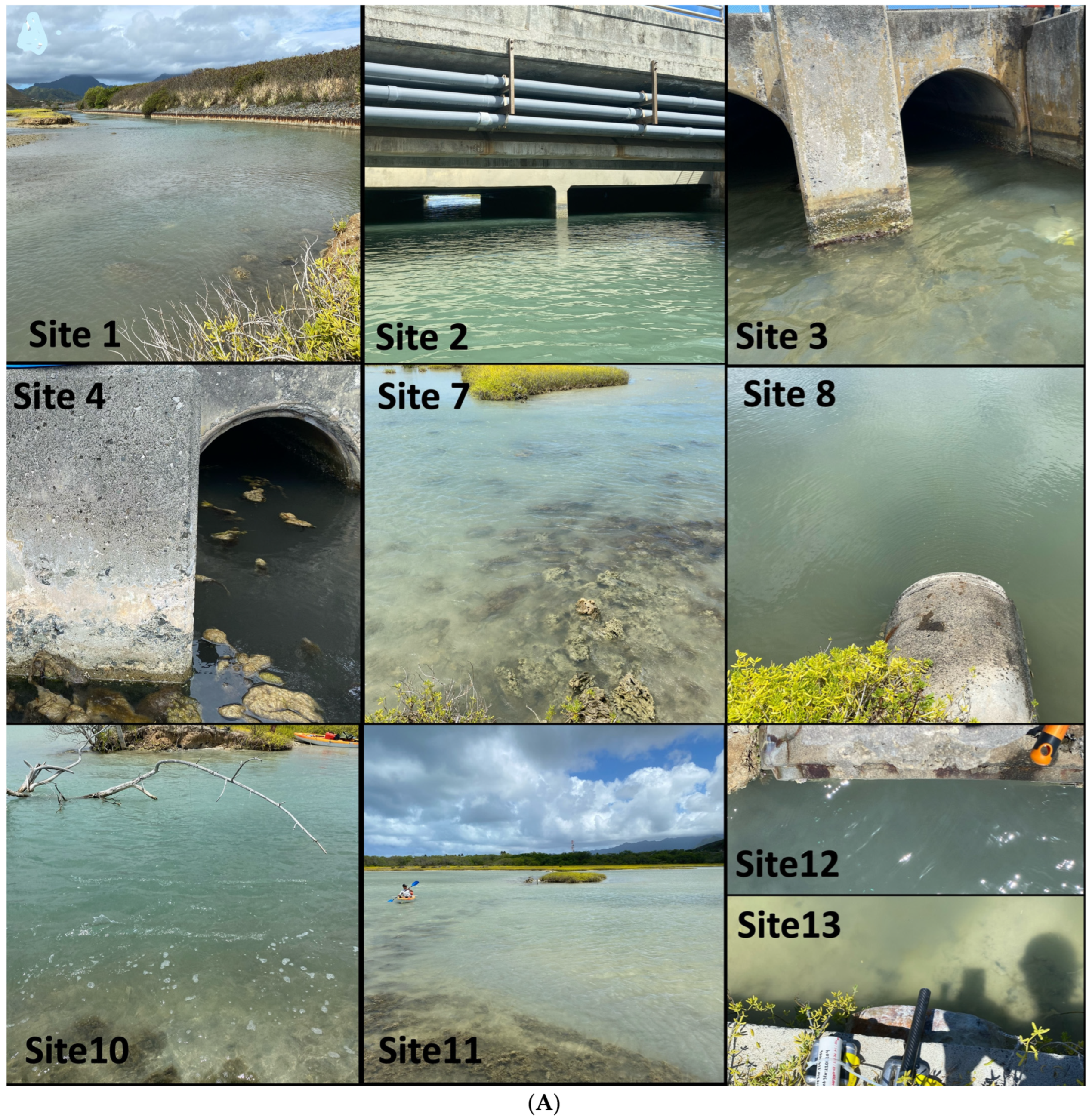 Sustainability 16 07159 g0a3a