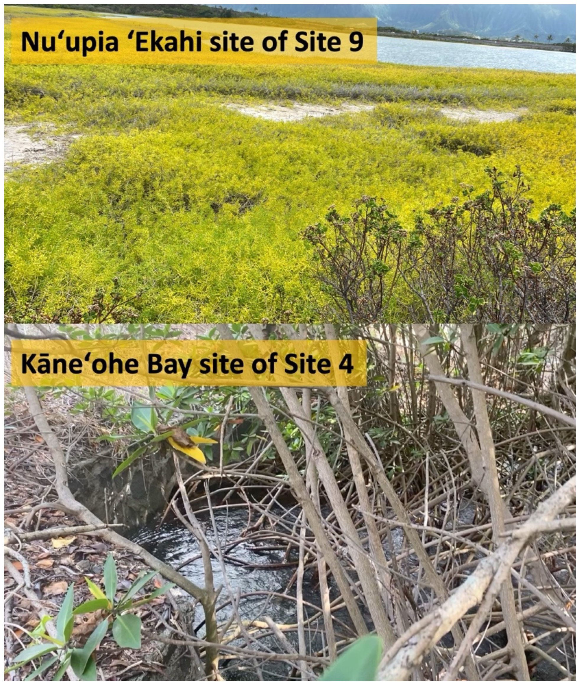 Sustainability 16 07159 g0a5