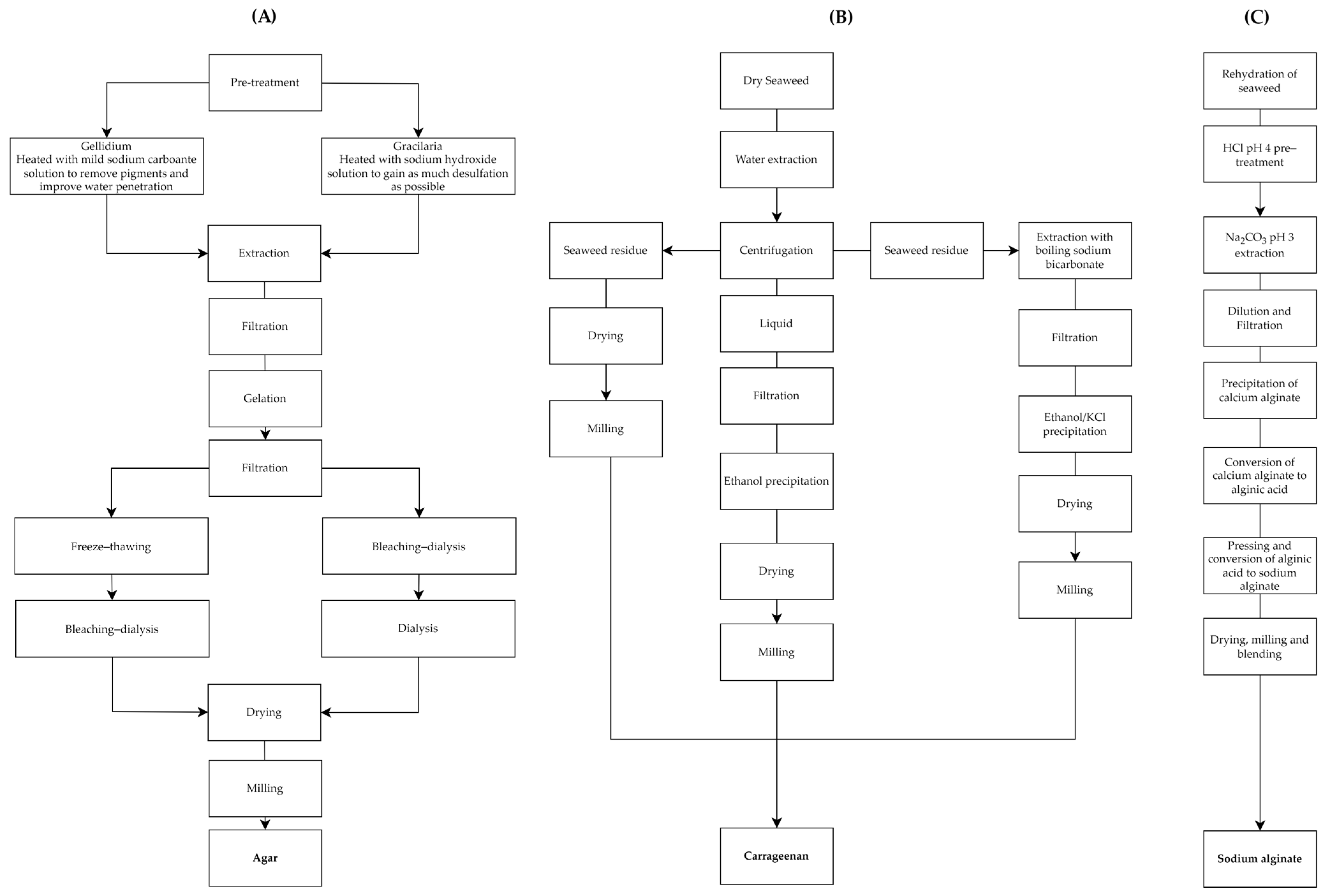 Sustainability 16 07175 g001