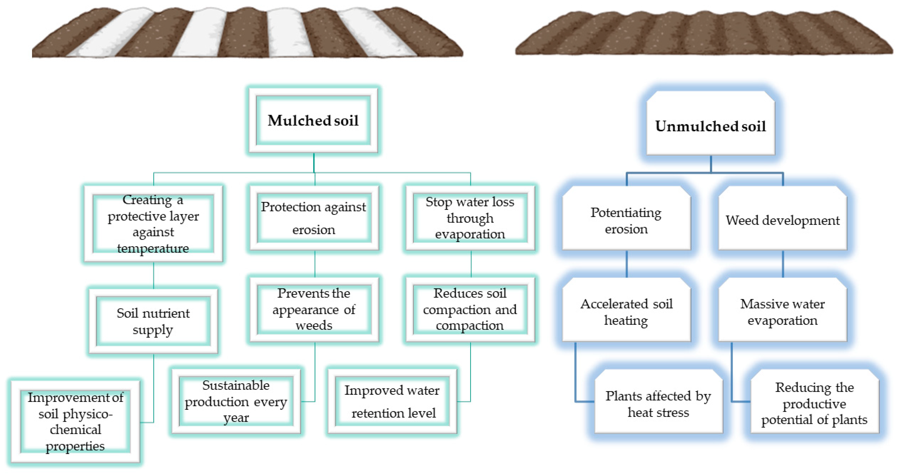 Sustainability 16 07287 g002