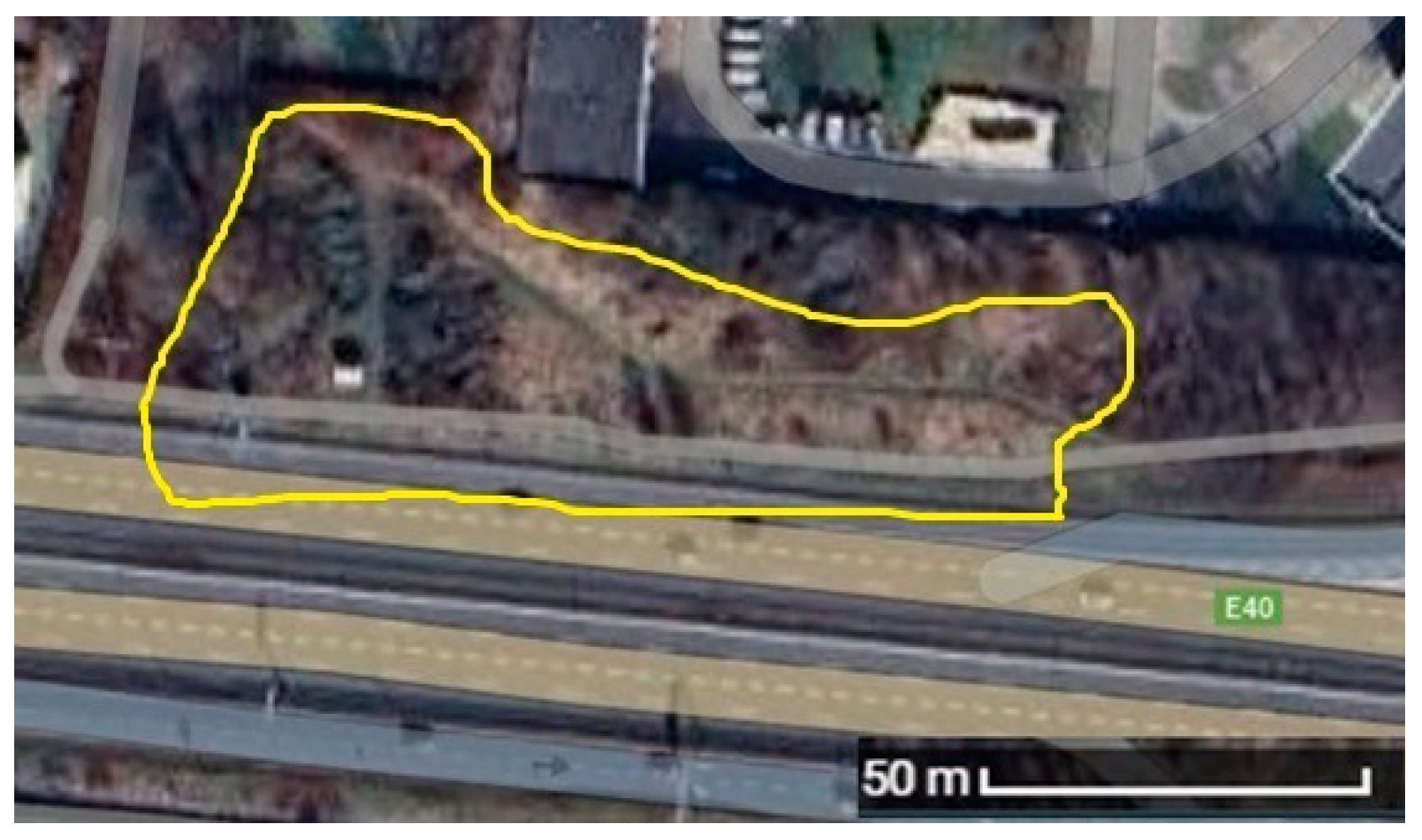 Sustainability 16 07292 g002