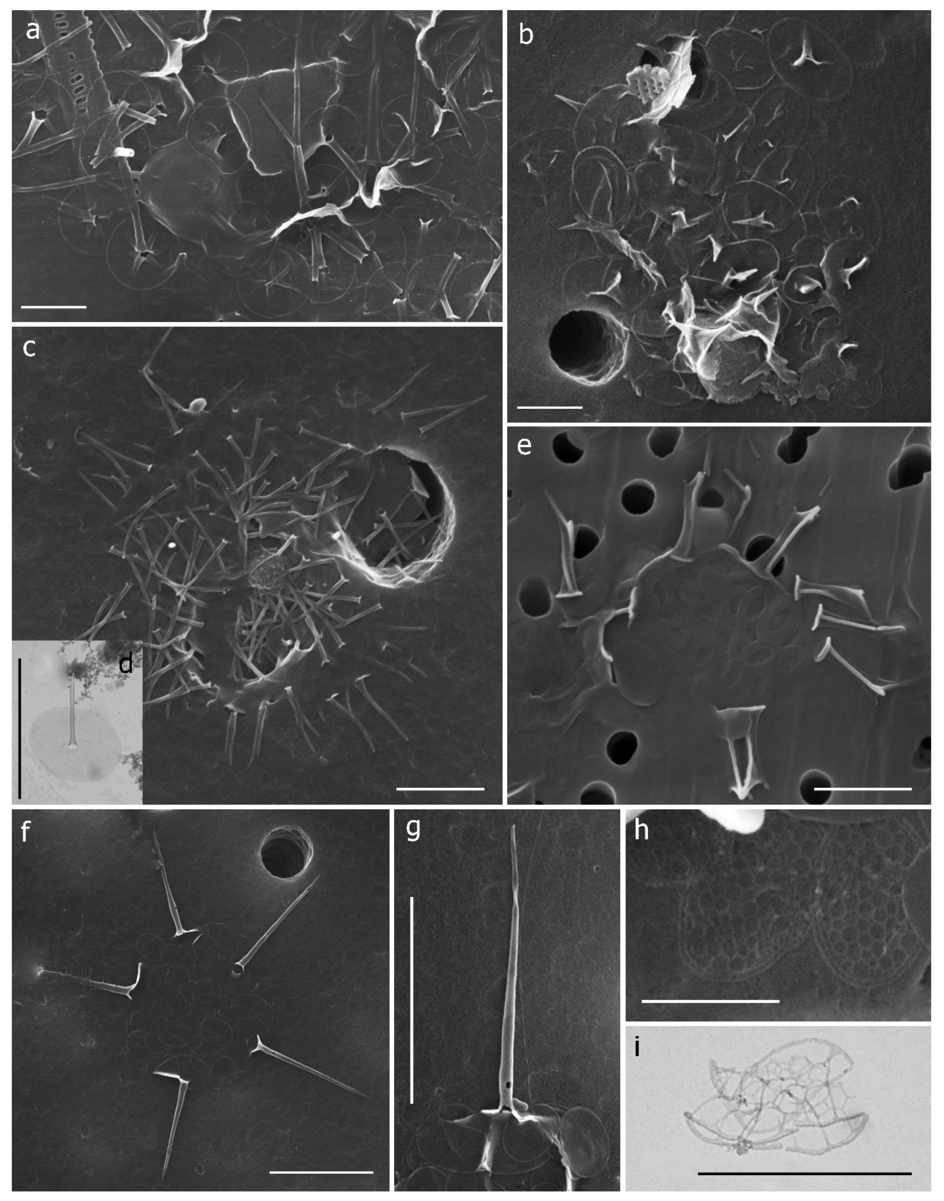 Sustainability 16 07299 g004 Sustainability 16 07299 g004