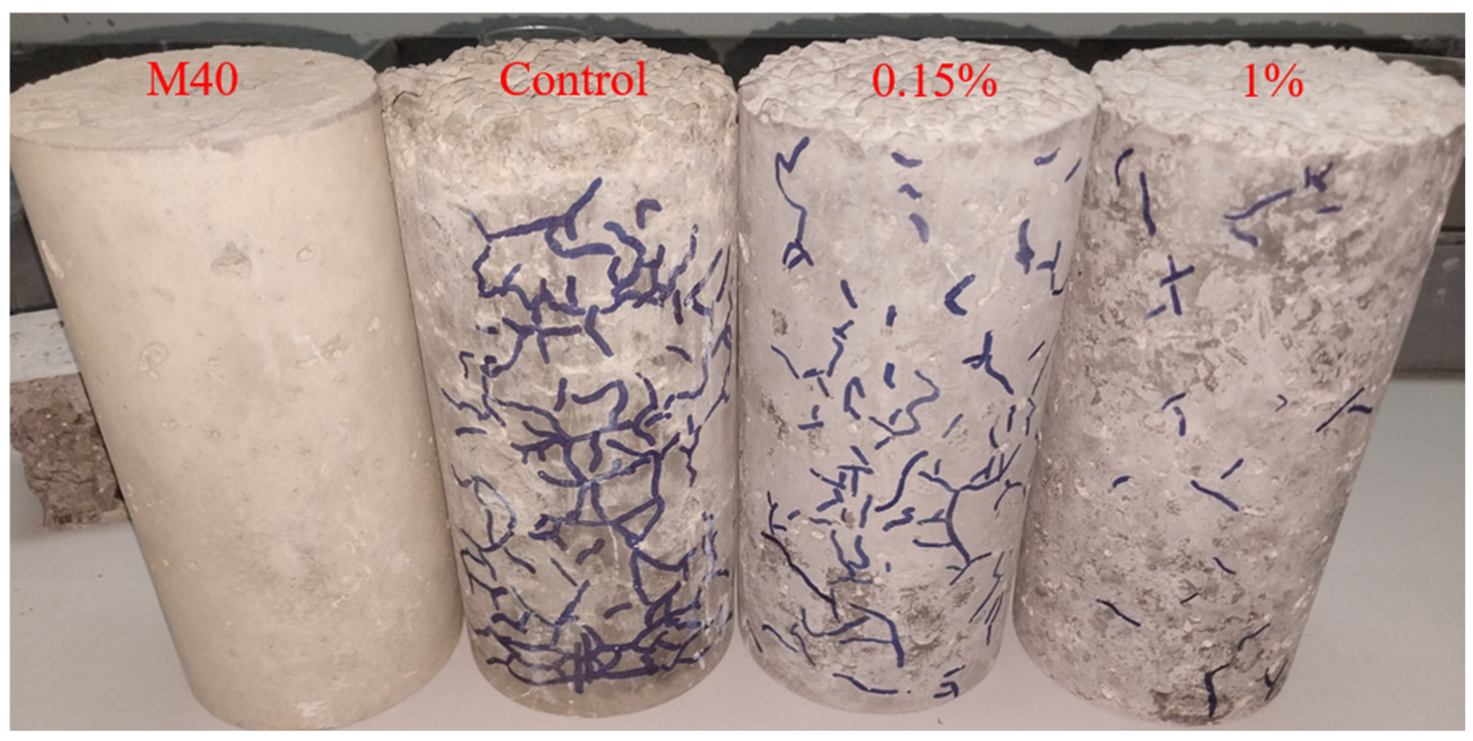 Sustainability 16 07306 g012