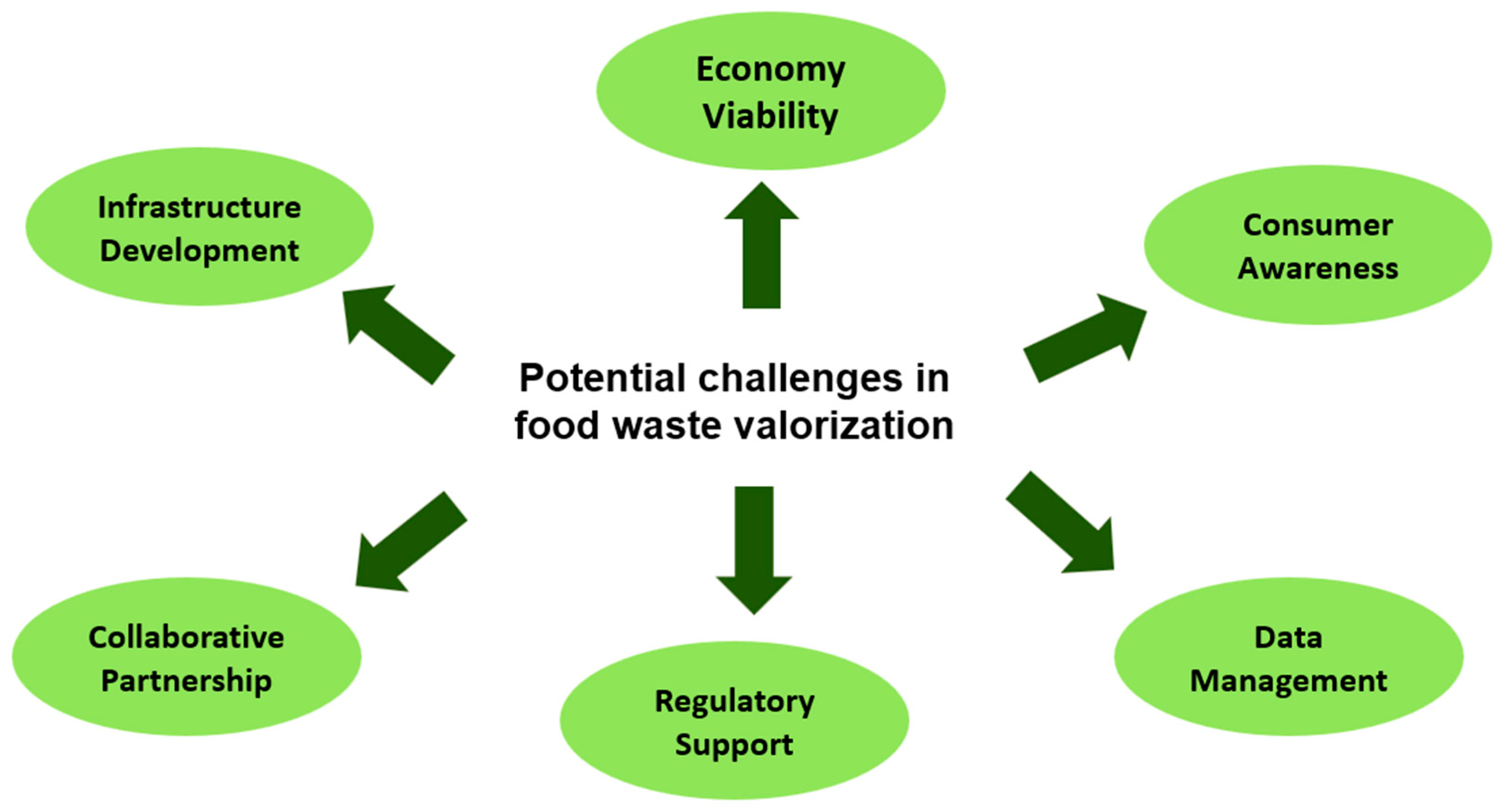 Sustainability 16 07321 g002