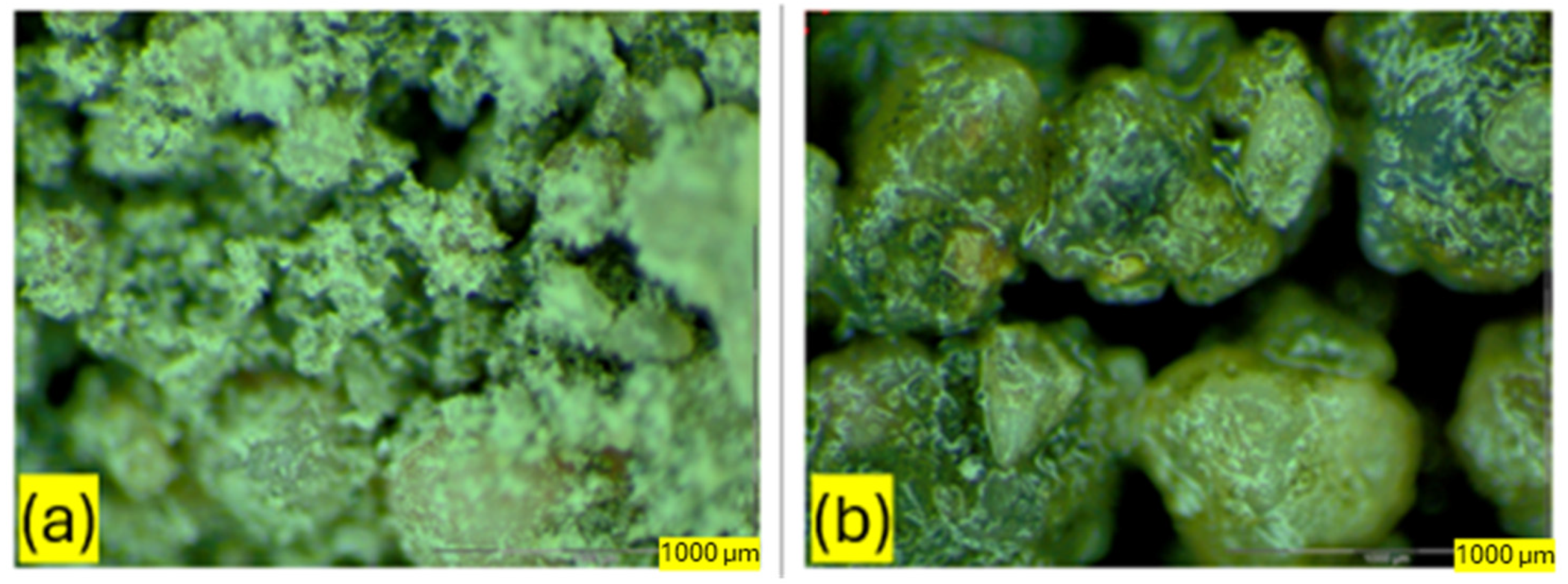 Sustainability 16 07344 g012 Sustainability 16 07344 g012