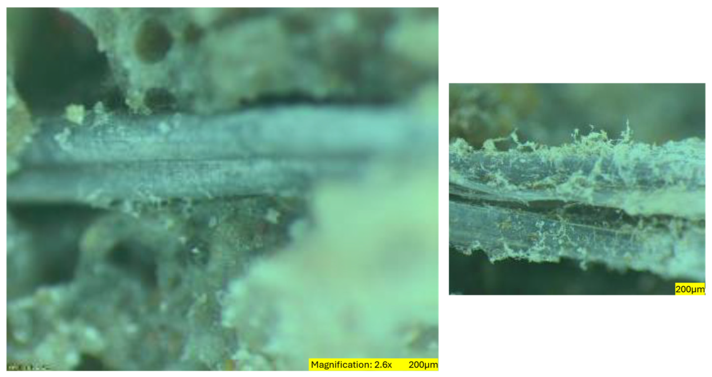 Sustainability 16 07344 g020 Sustainability 16 07344 g020