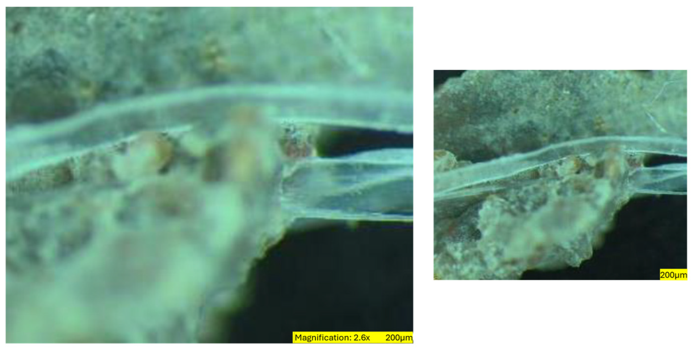 Sustainability 16 07344 g021 Sustainability 16 07344 g021