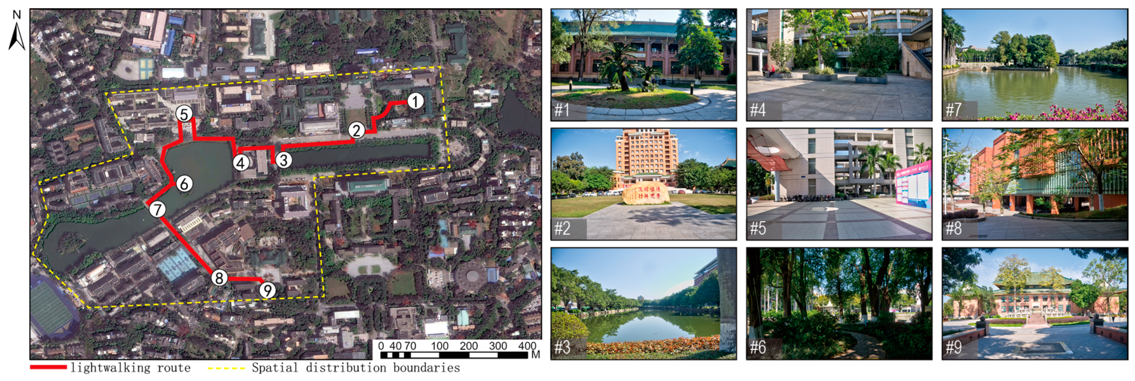 Sustainability 16 07355 g001