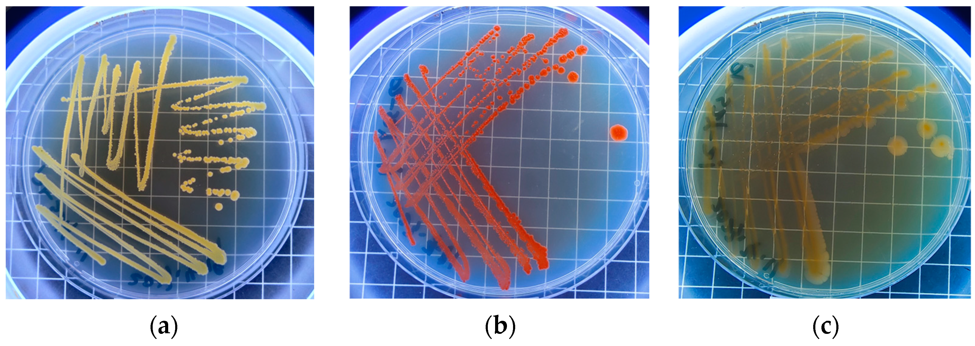 Sustainability 16 07357 g0a1a