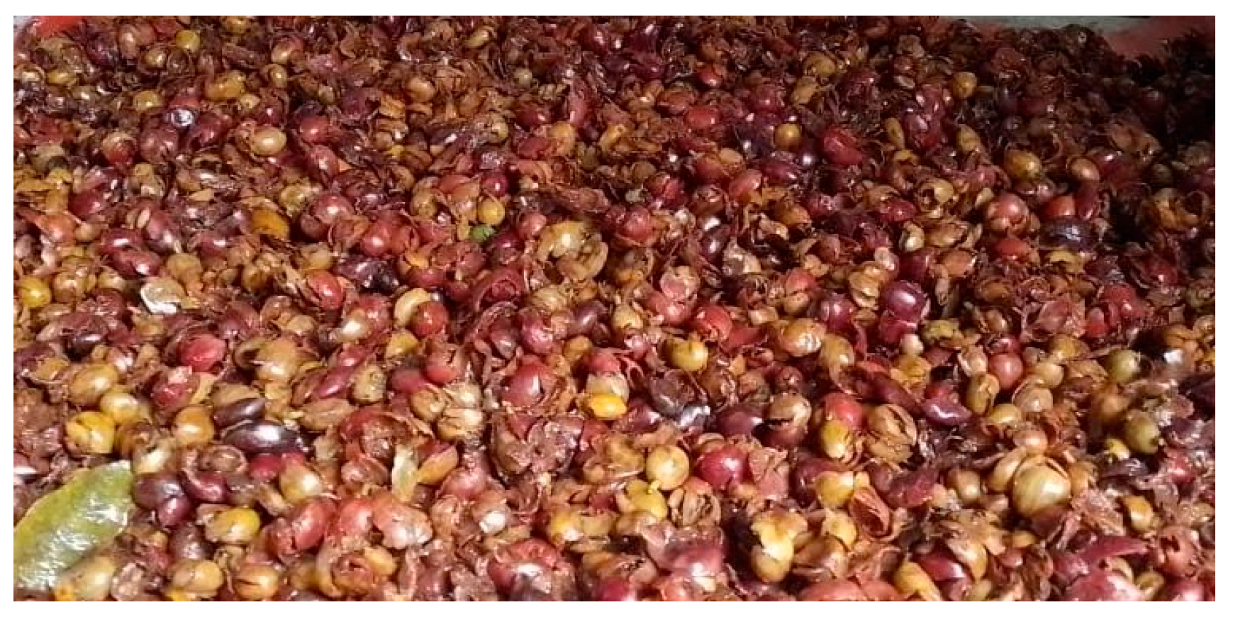 Sustainability 16 07415 g001