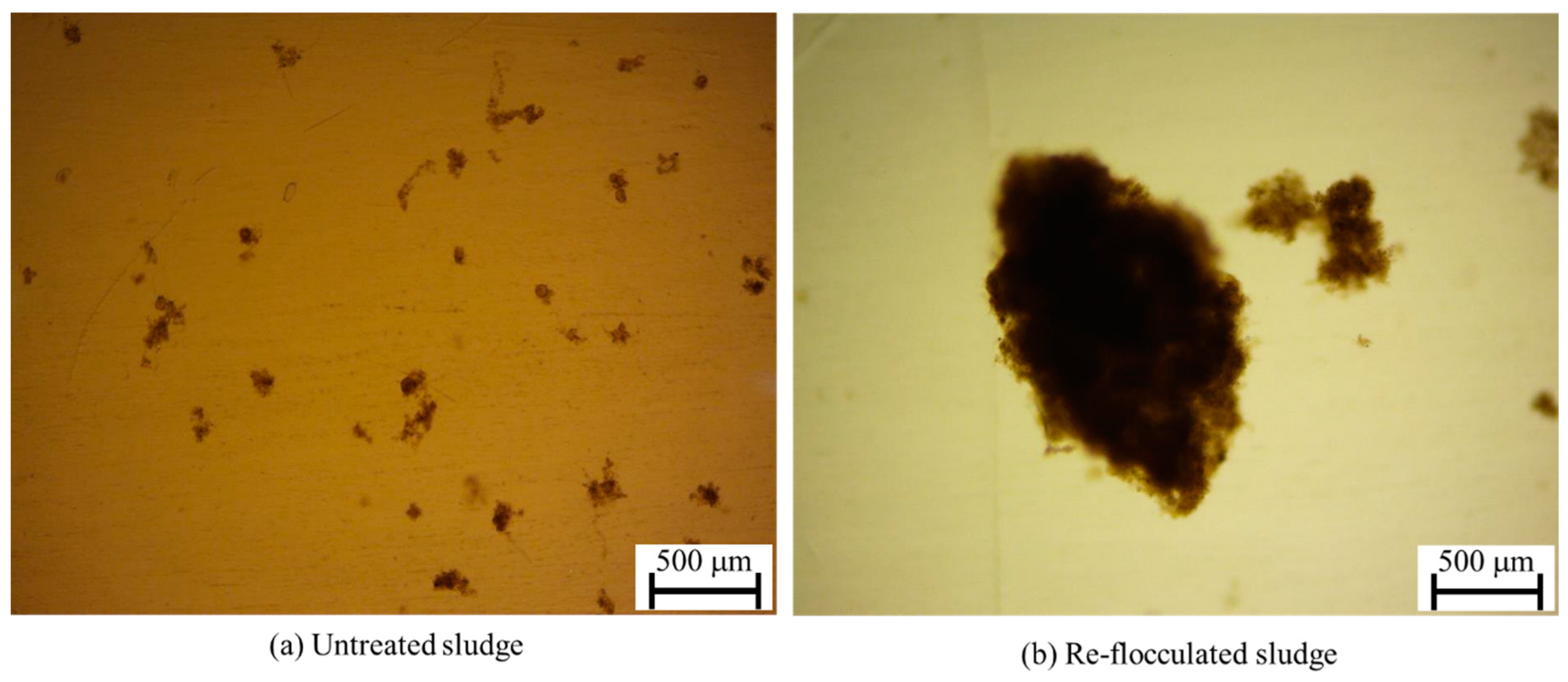 Sustainability 16 07427 g005 Sustainability 16 07427 g005