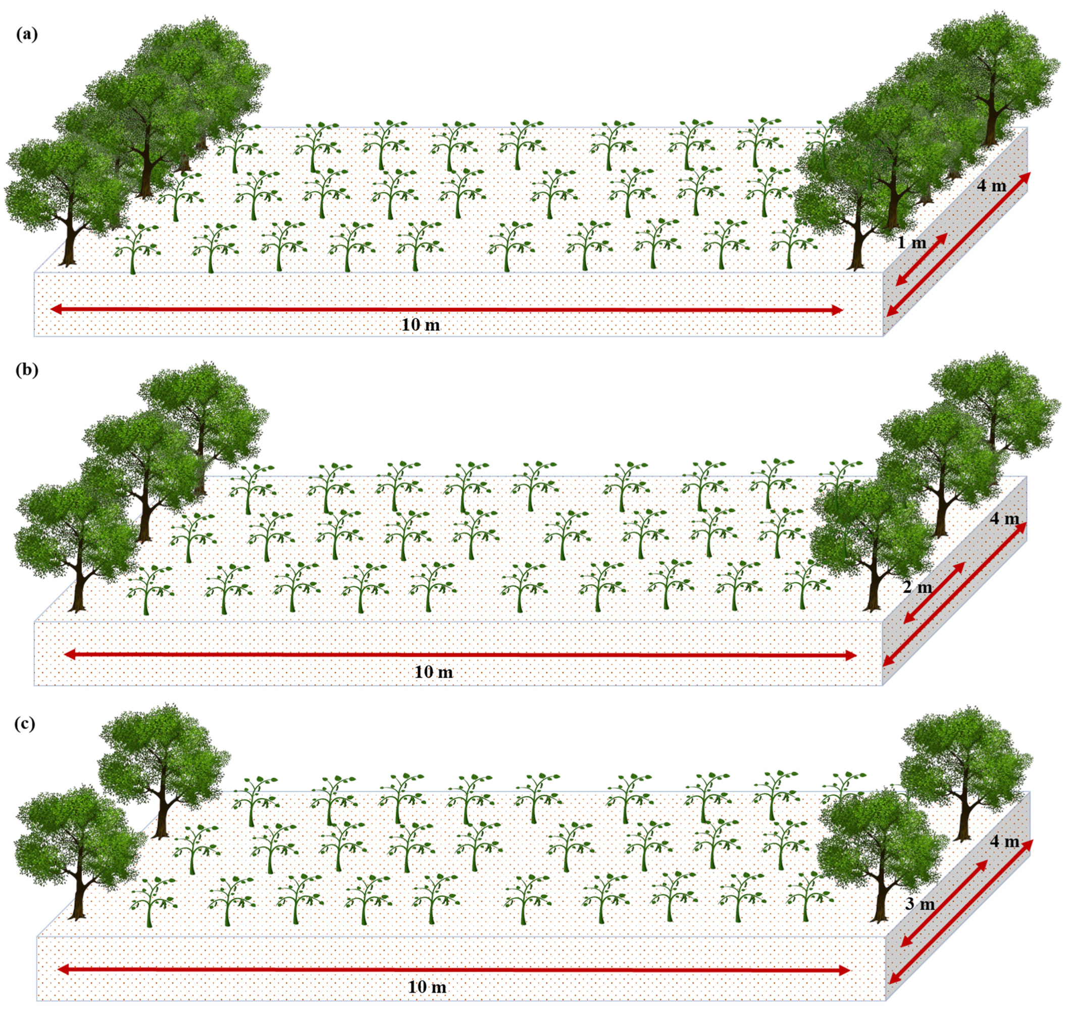 Sustainability 16 07438 g001 Sustainability 16 07438 g001
