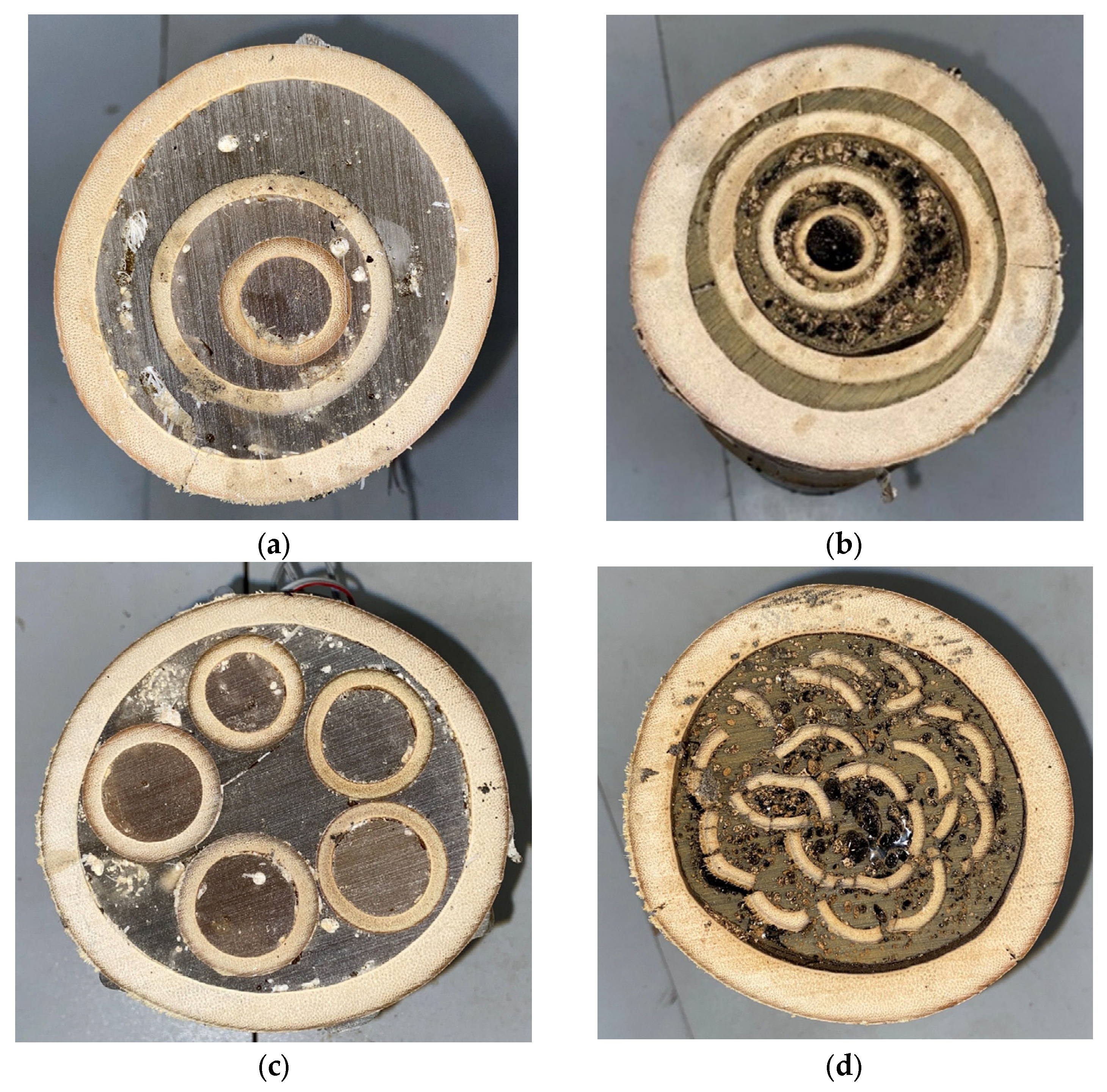 Sustainability 16 07451 g003