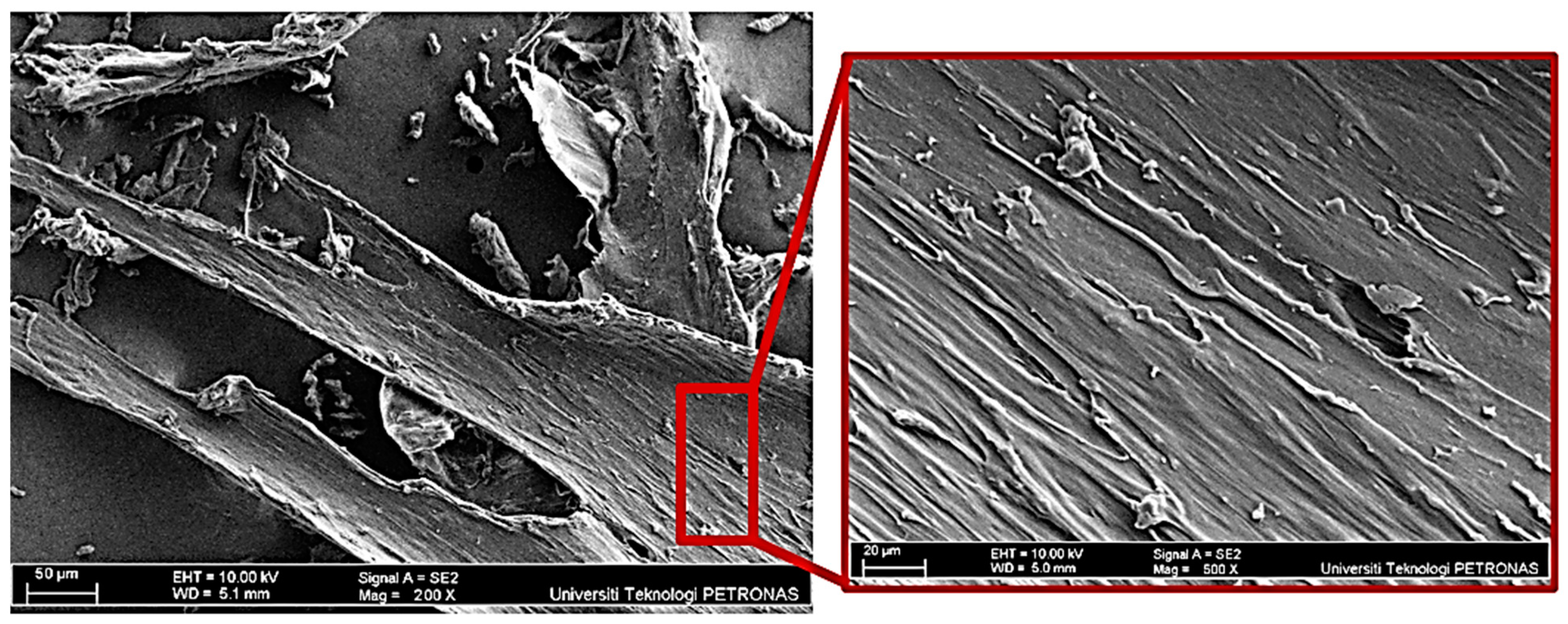 Sustainability 16 07455 g003