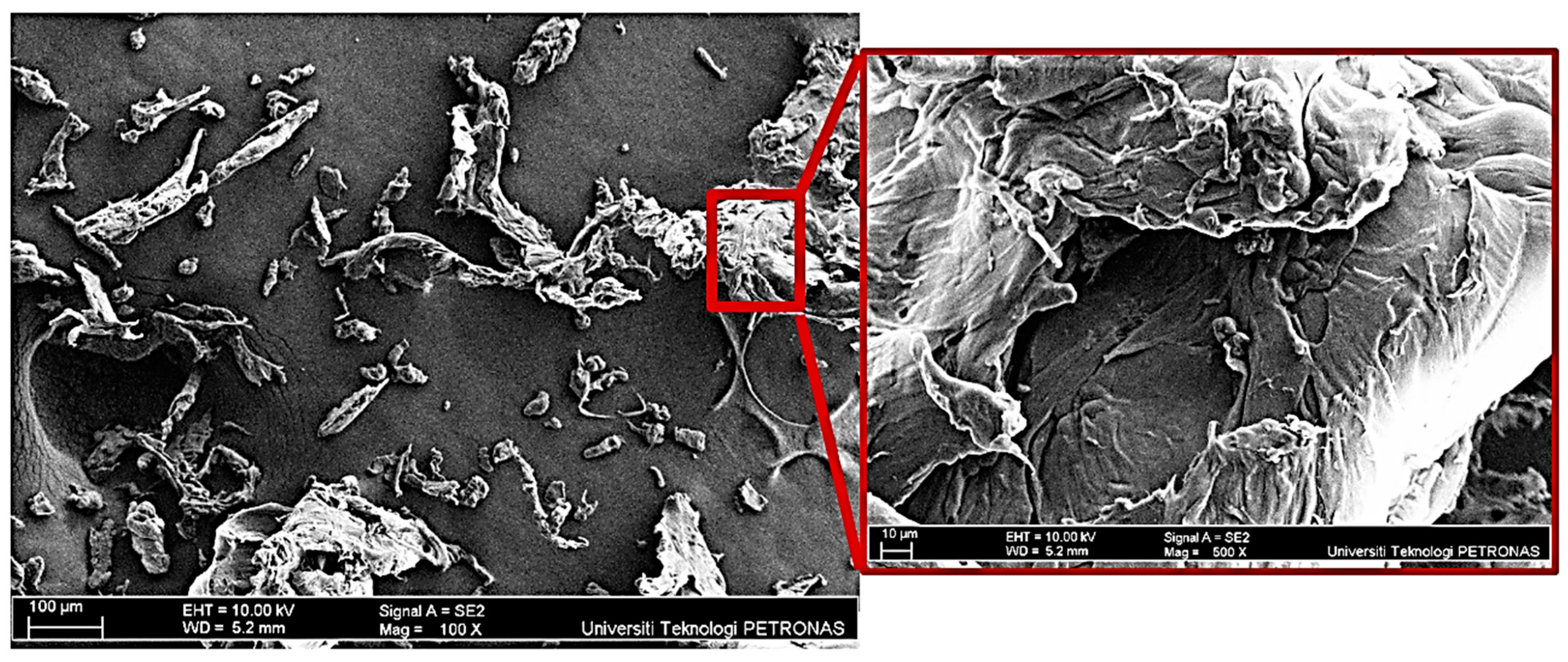 Sustainability 16 07455 g004