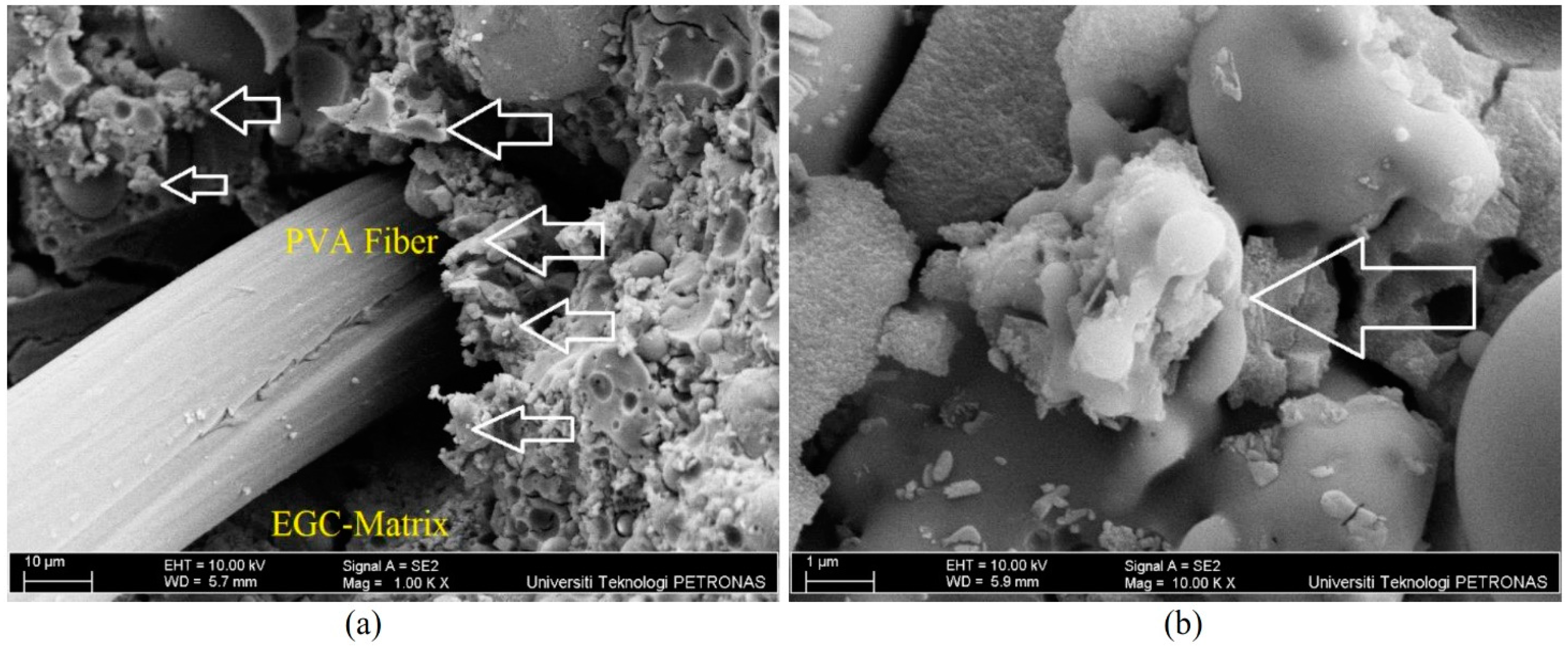 Sustainability 16 07455 g015