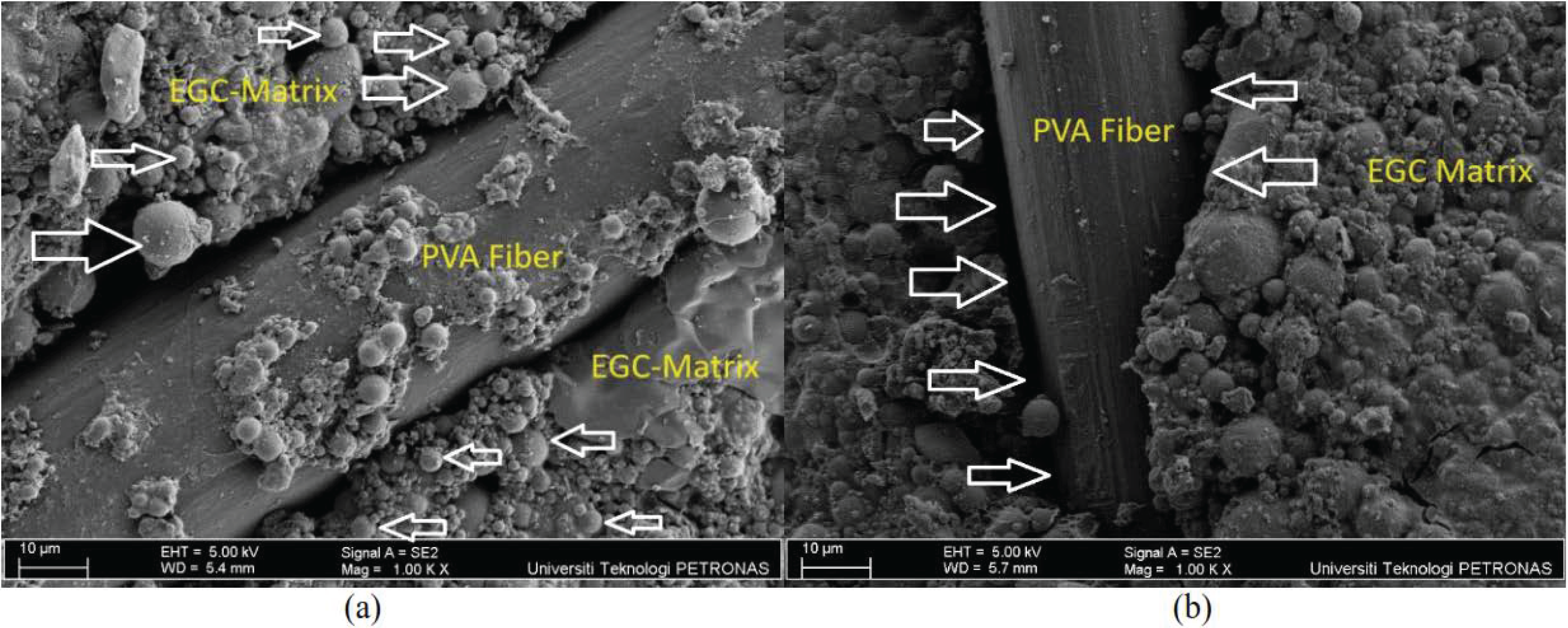 Sustainability 16 07455 g017