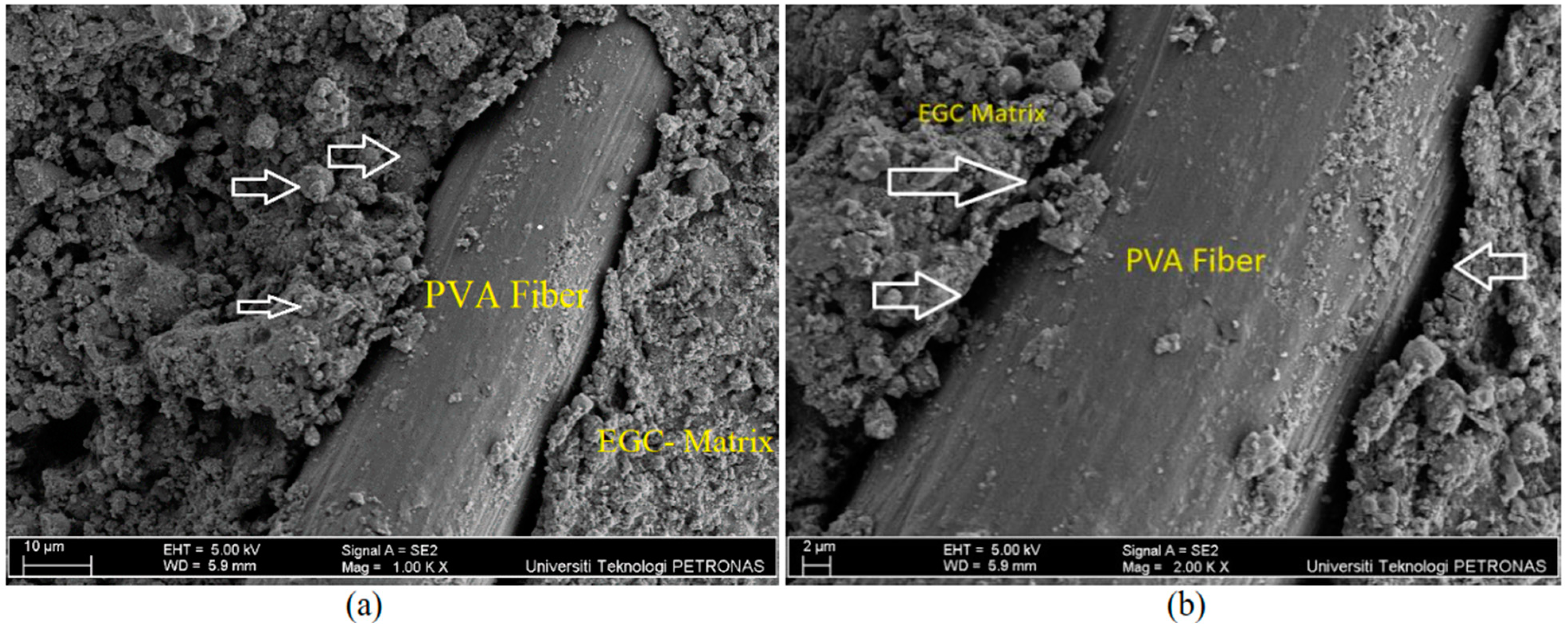 Sustainability 16 07455 g018