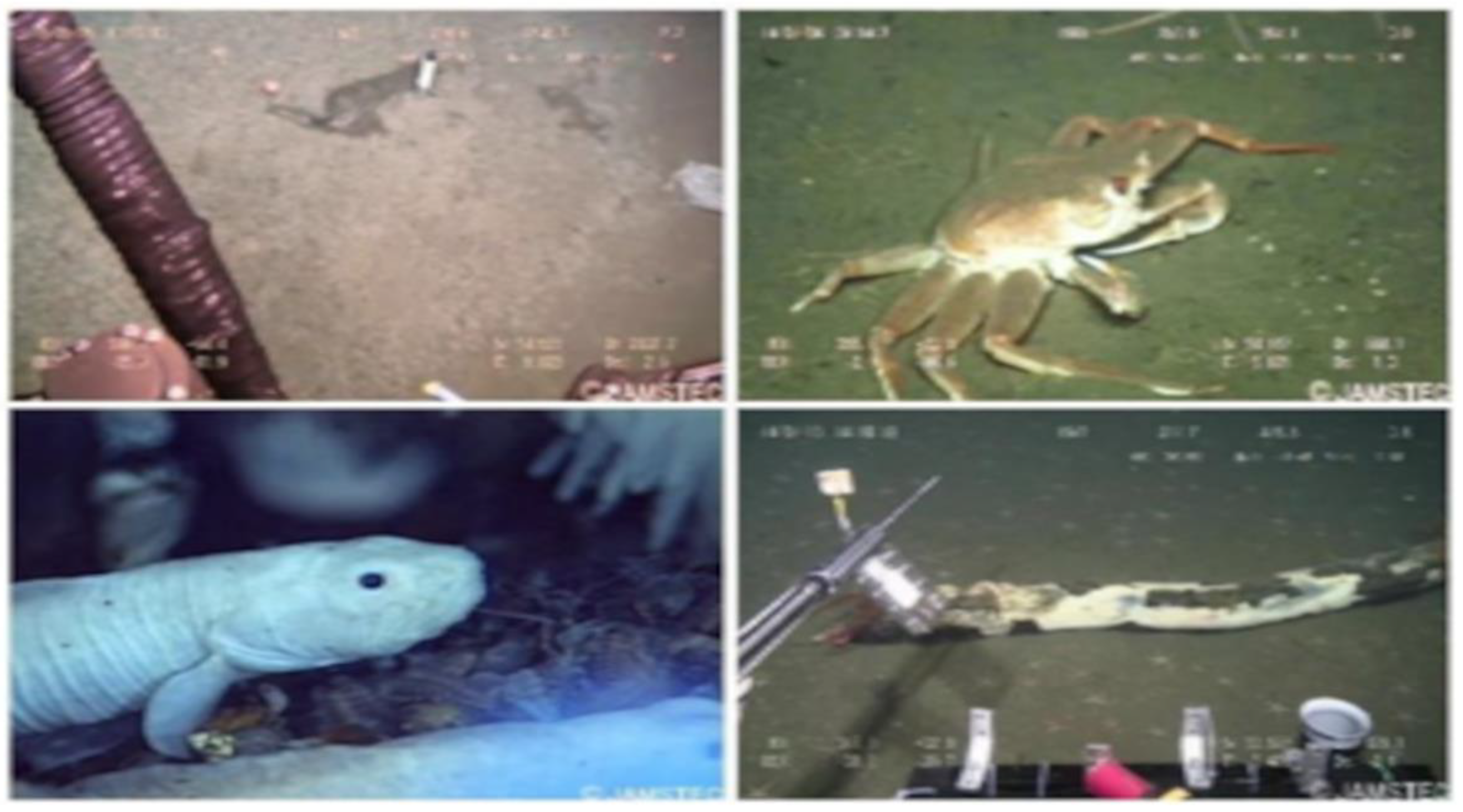 Sustainability 16 07488 g008