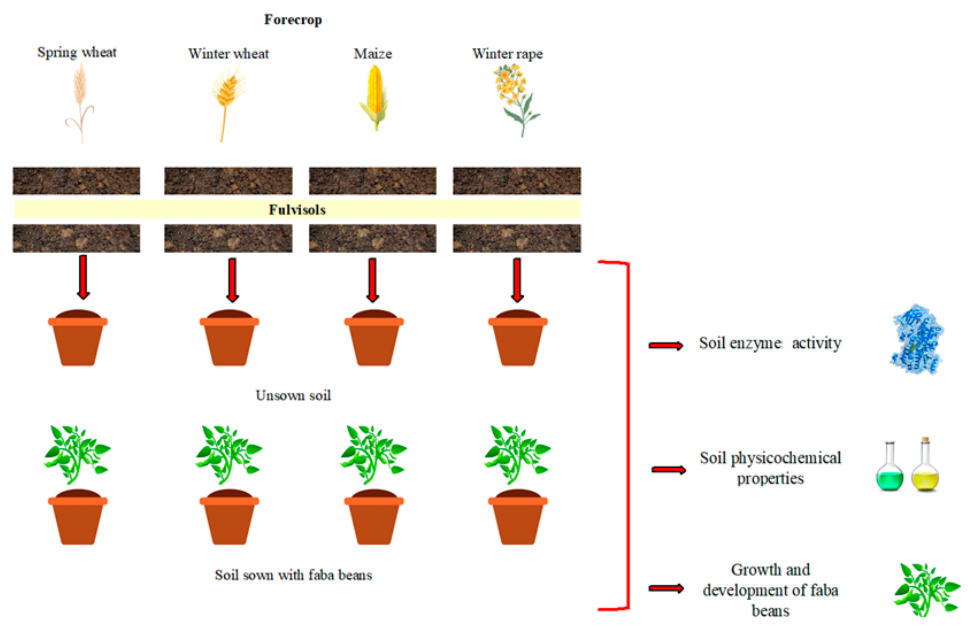 Sustainability 16 07492 g001