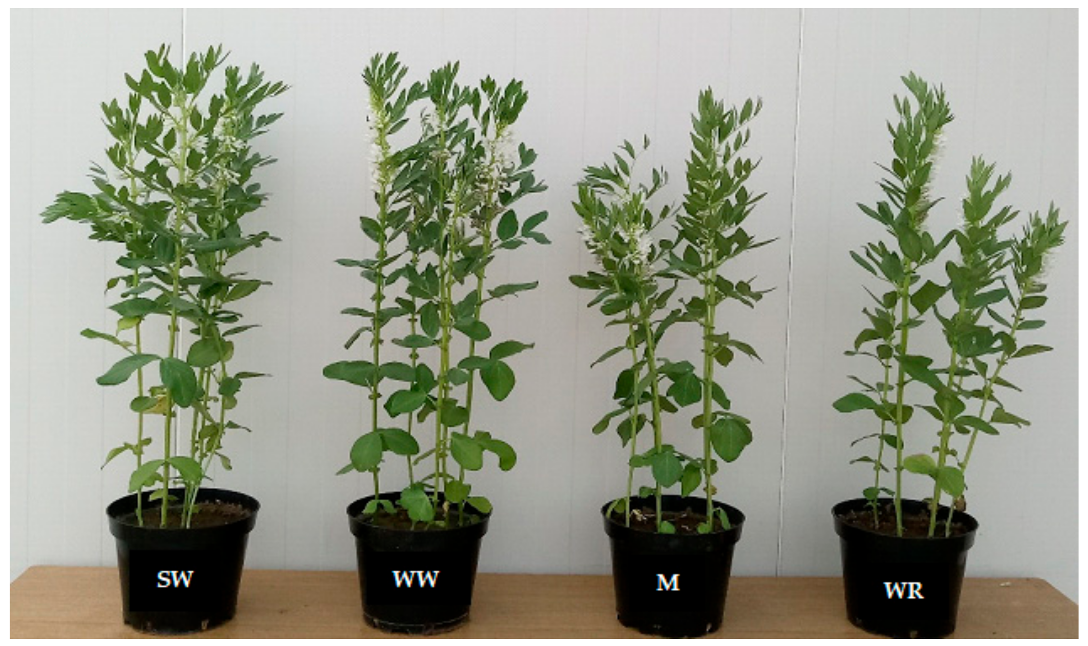 Sustainability 16 07492 g002