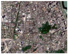 Sustainability 16 07501 i004