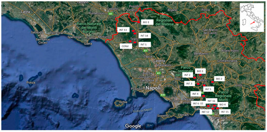 Hazelnut Cultivation in the Campania Region: Environmental