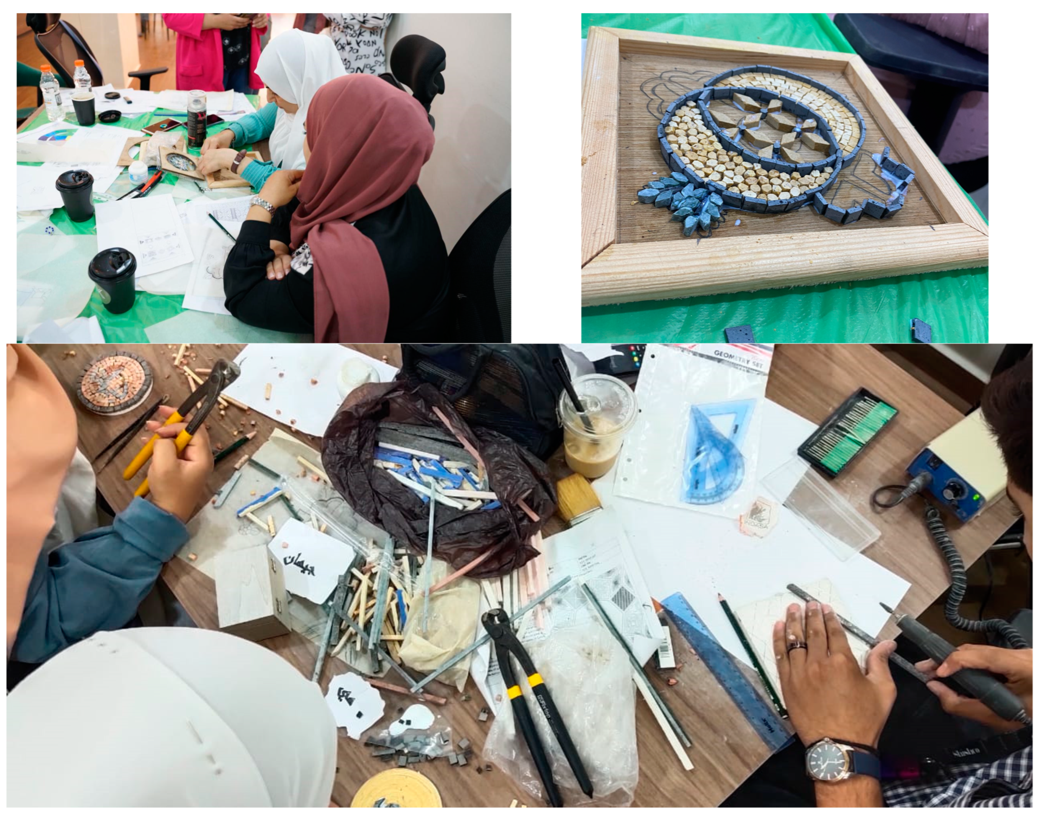 Sustainability 16 07547 g001b