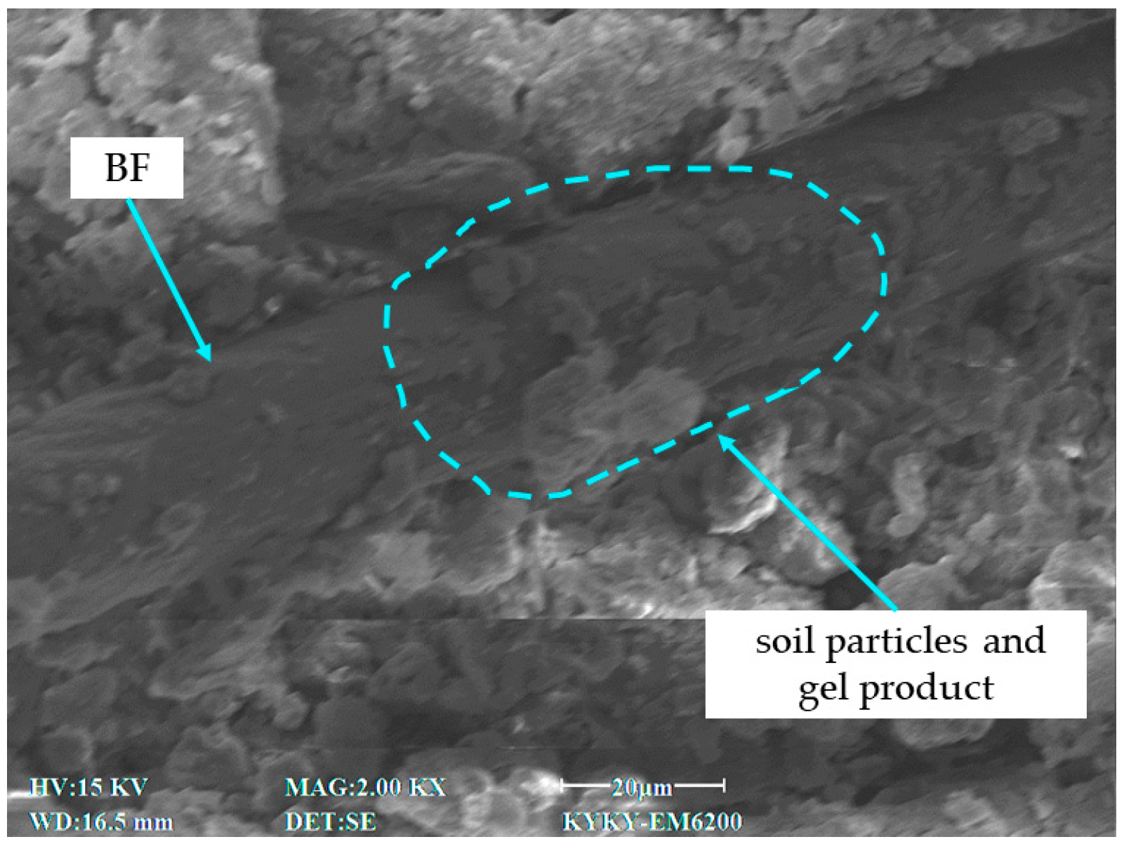 Sustainability 16 07579 g017