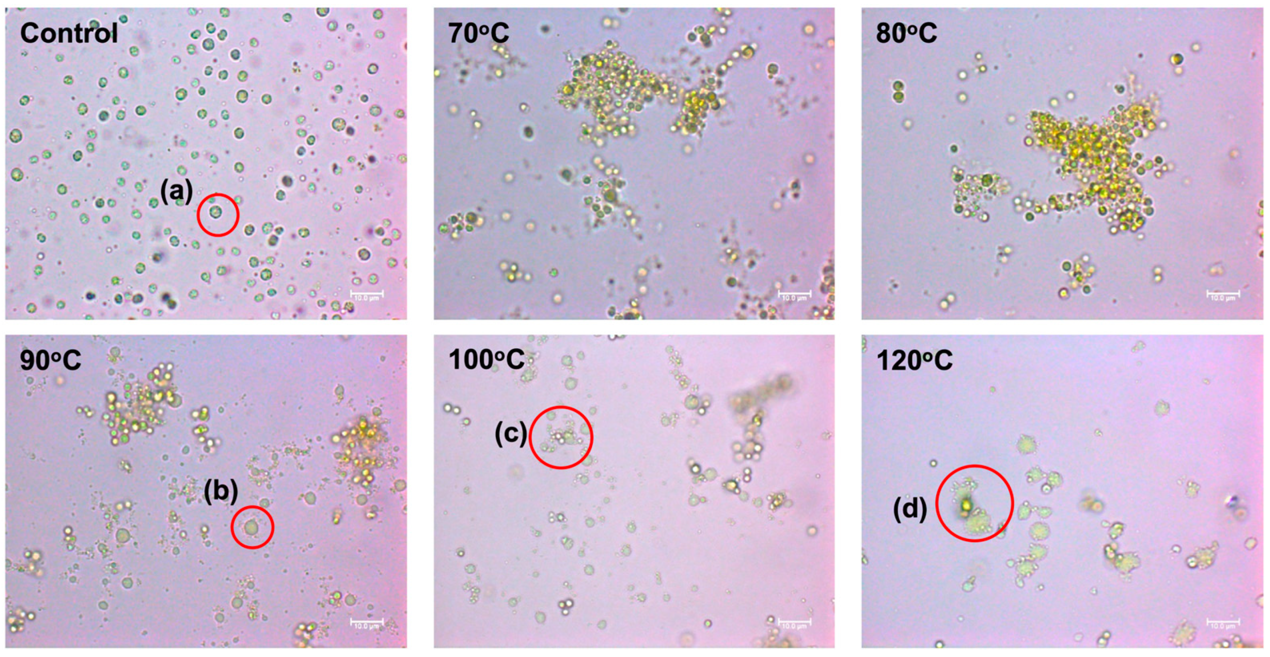Sustainability 16 07589 g003