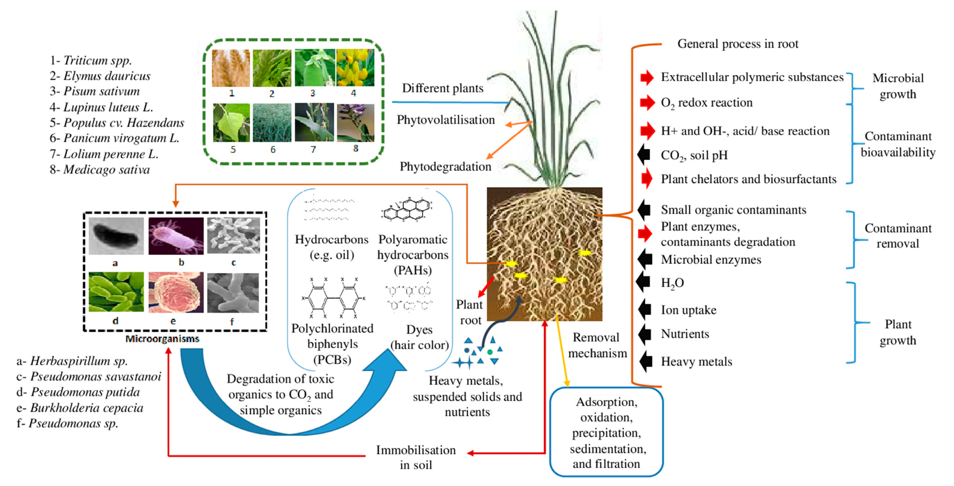 Sustainability 16 07593 g005