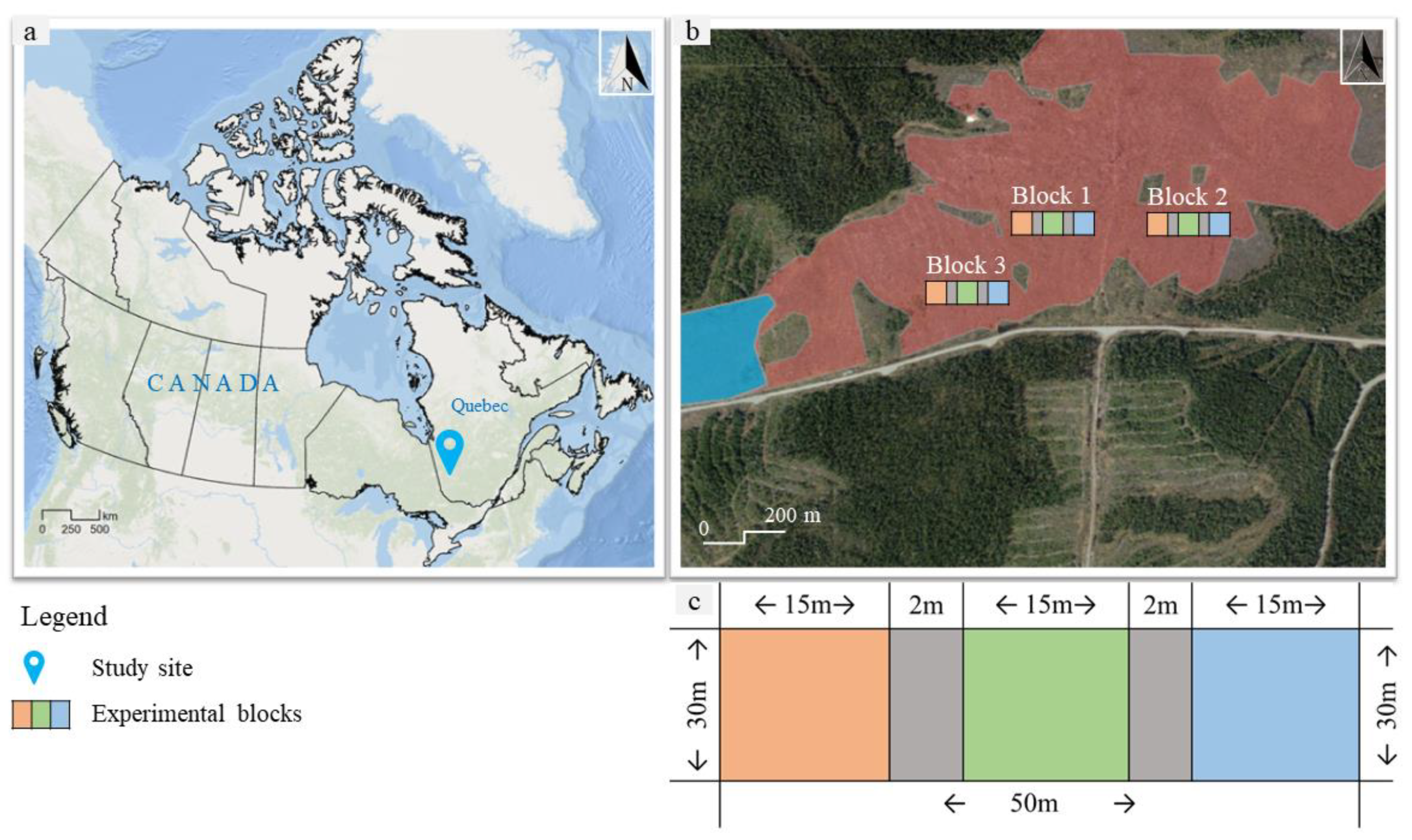 Sustainability 16 07683 g002