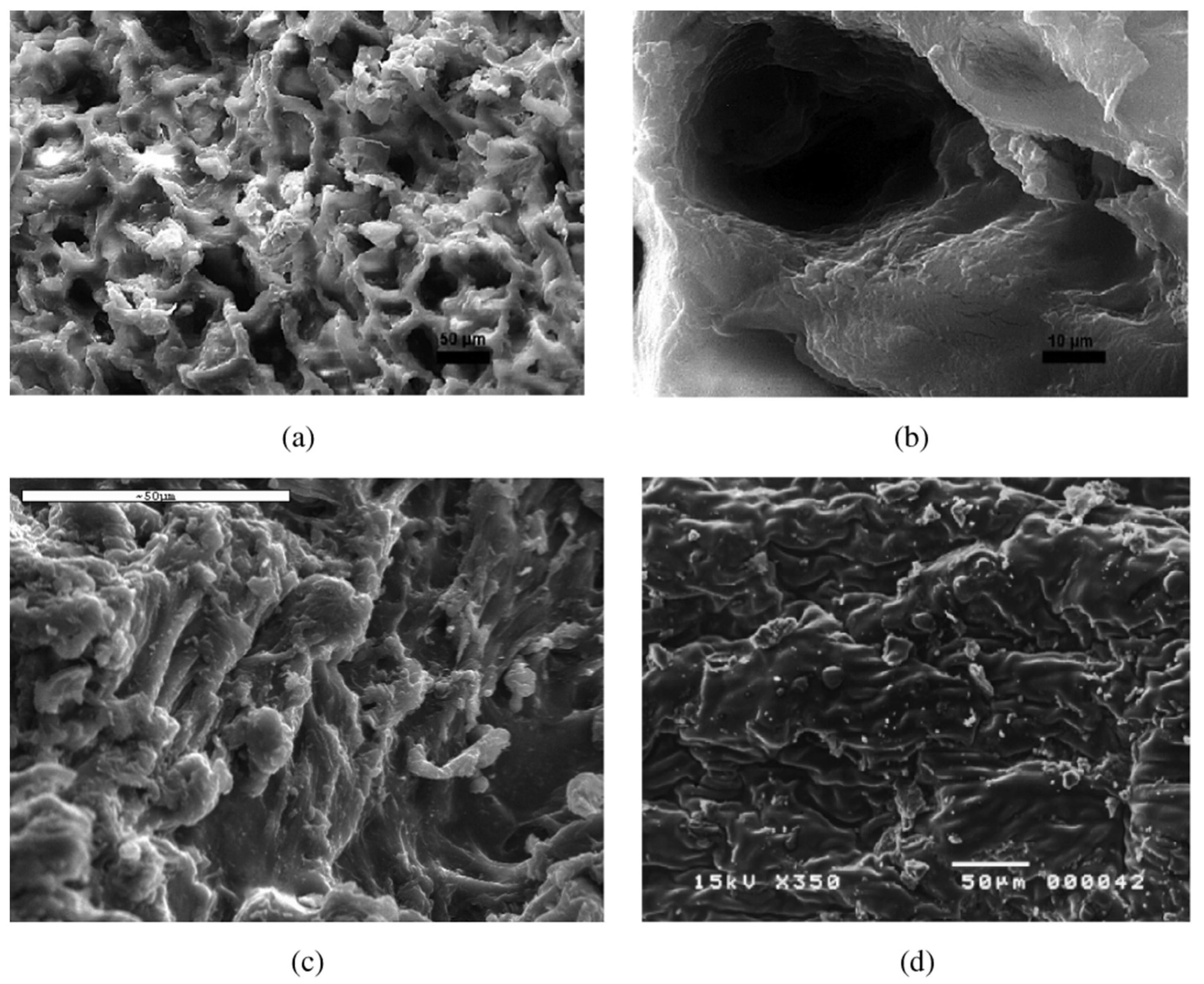 Sustainability 16 07693 g006