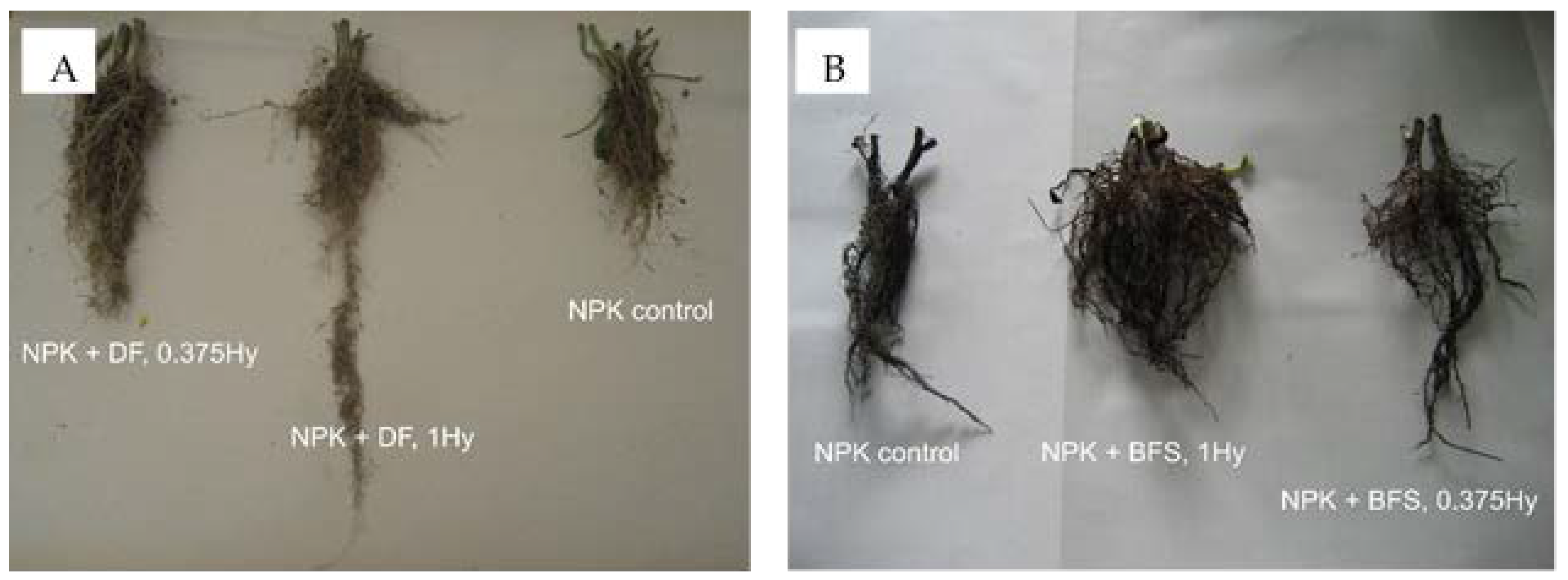 Sustainability 16 07717 g001
