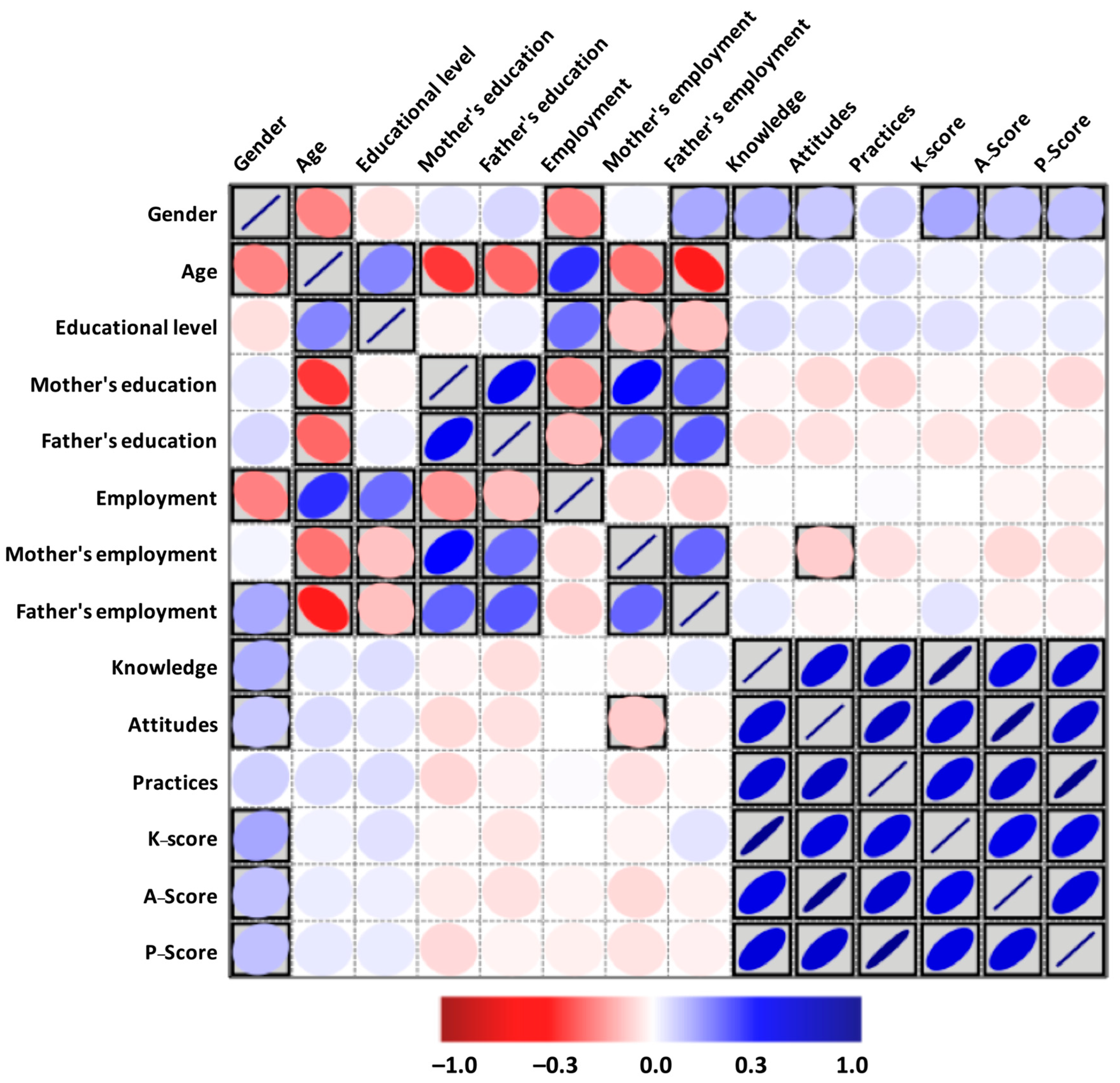 Sustainability 16 07720 g003
