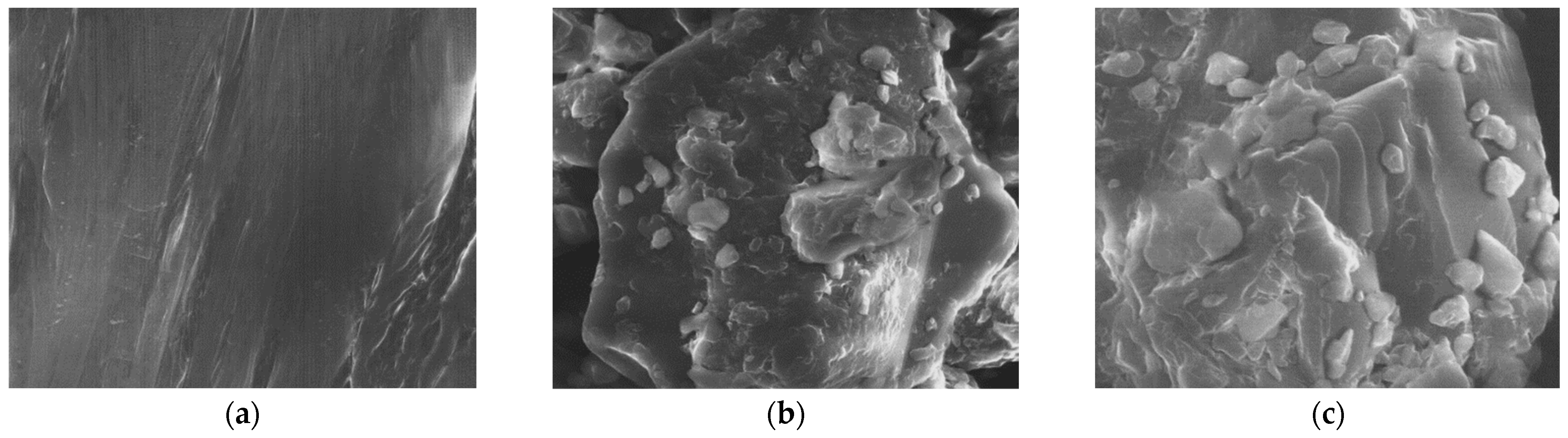 Sustainability 16 07743 g001