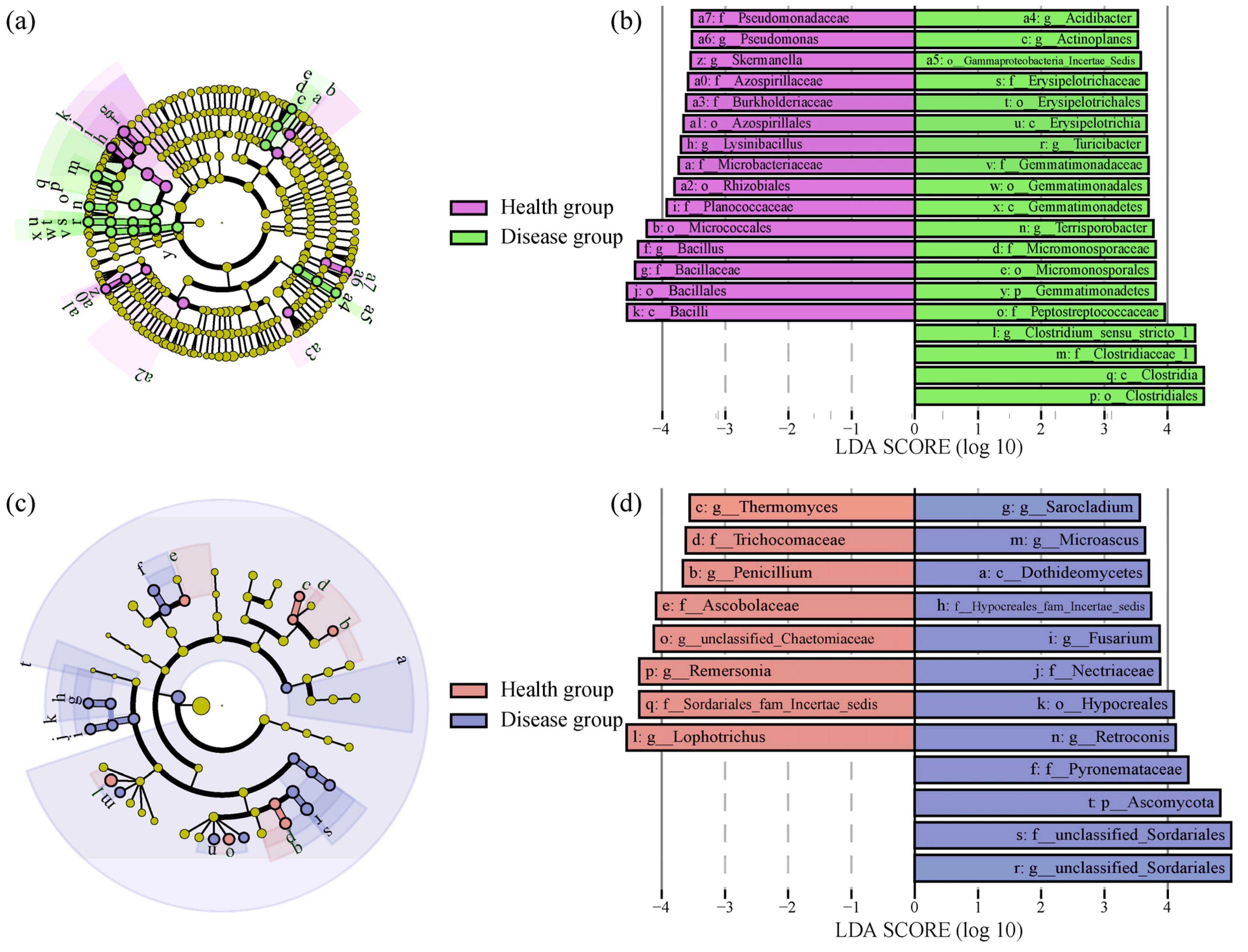 Sustainability 16 07756 g002