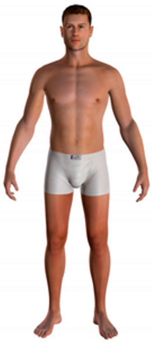 Sustainability 16 07757 i018 Sustainability 16 07757 i018