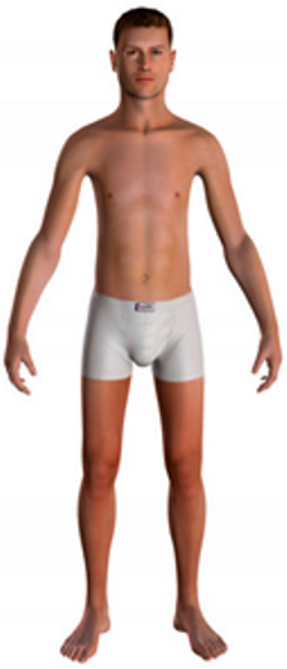 Sustainability 16 07757 i020 Sustainability 16 07757 i020