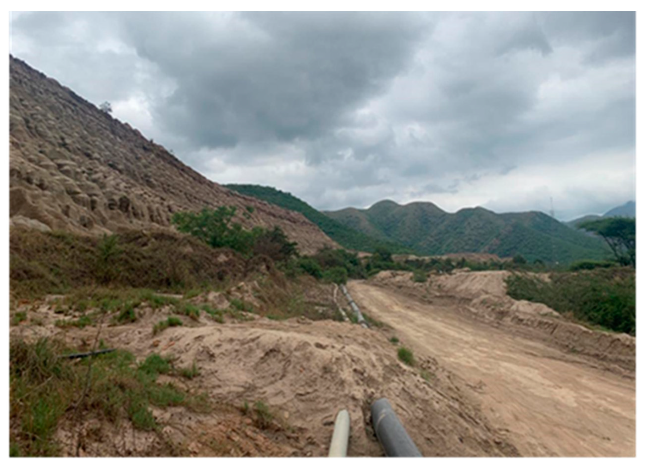 Sustainability 16 07762 g001