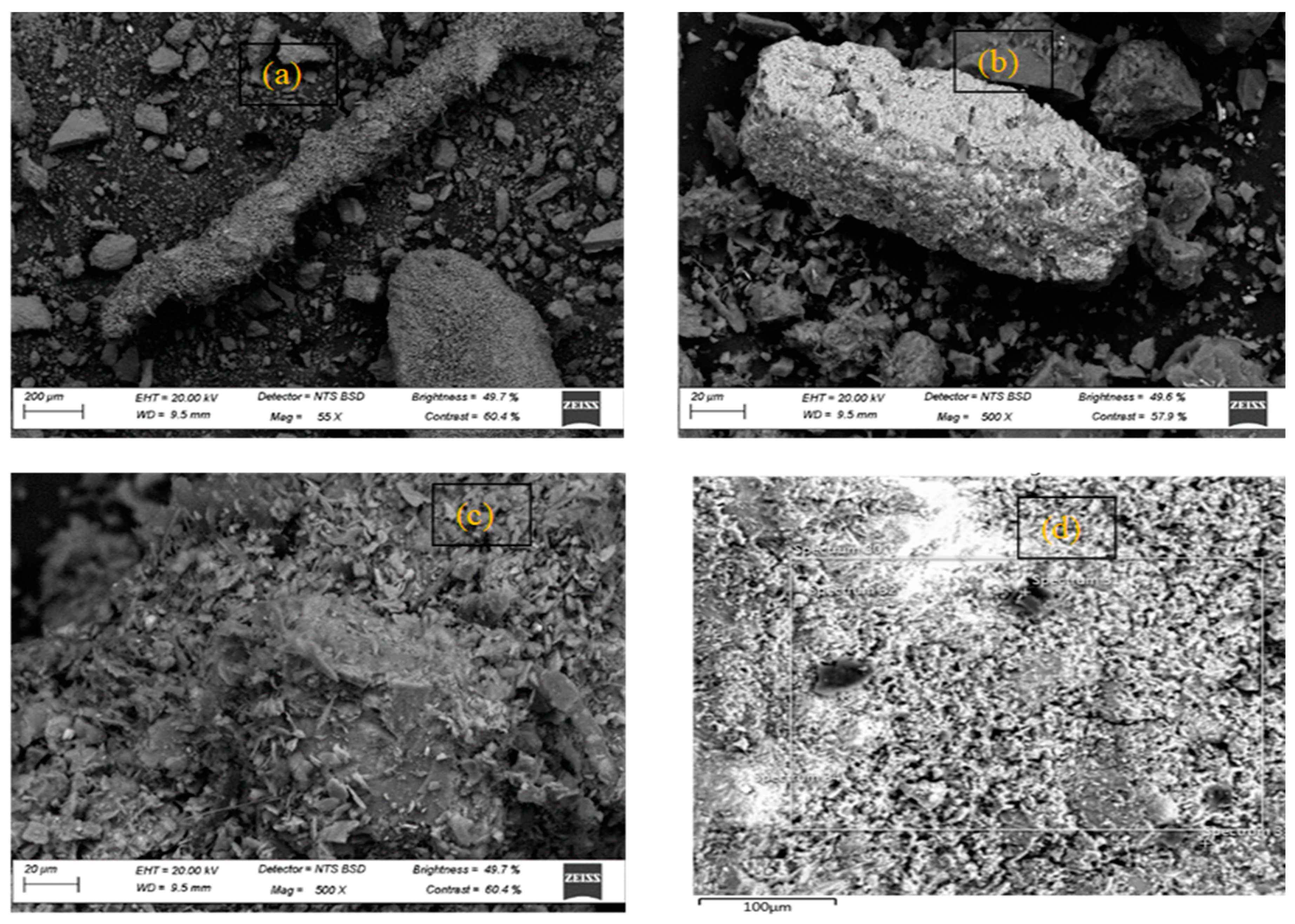 Sustainability 16 07762 g008