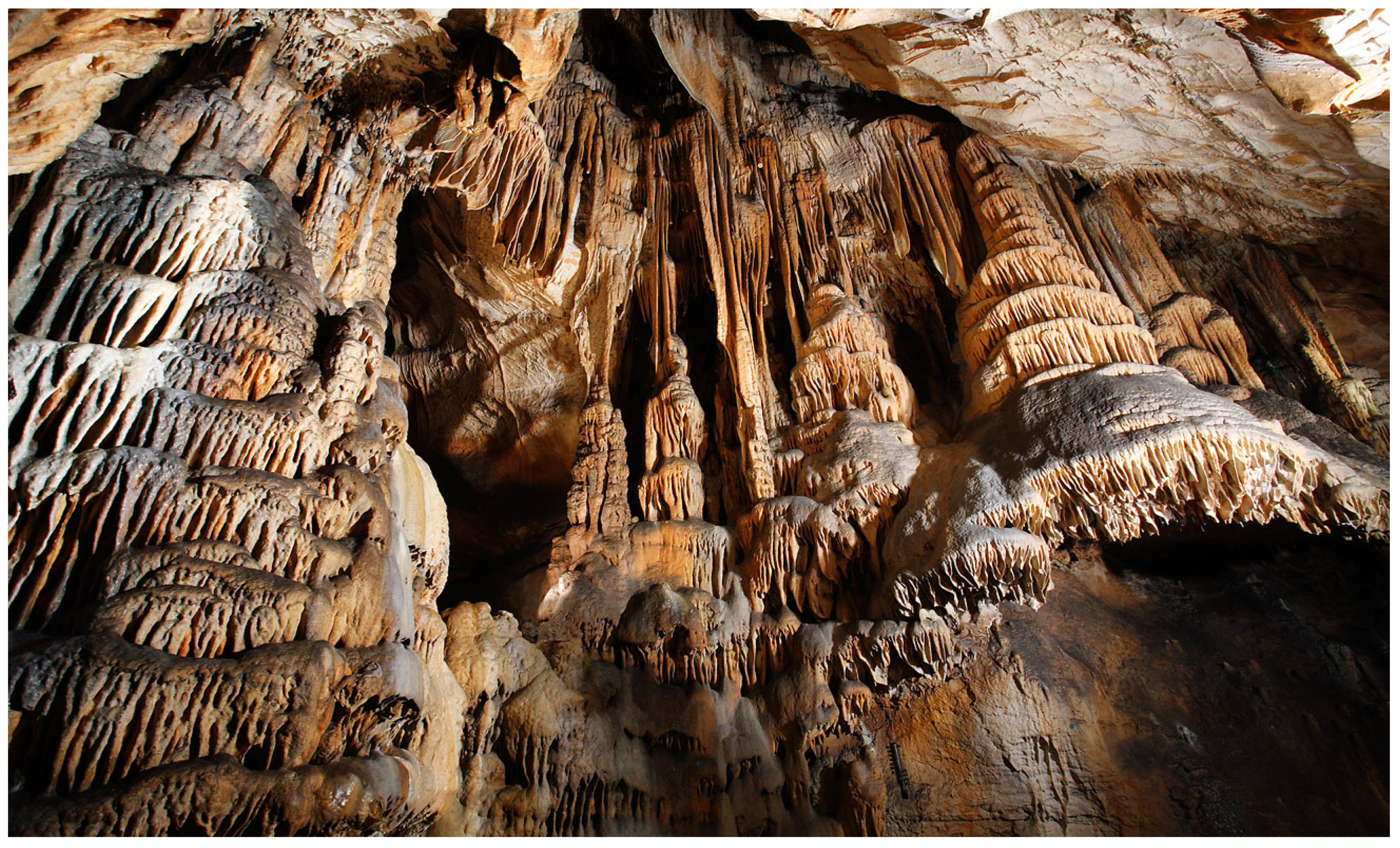 Sustainability 16 07783 g004