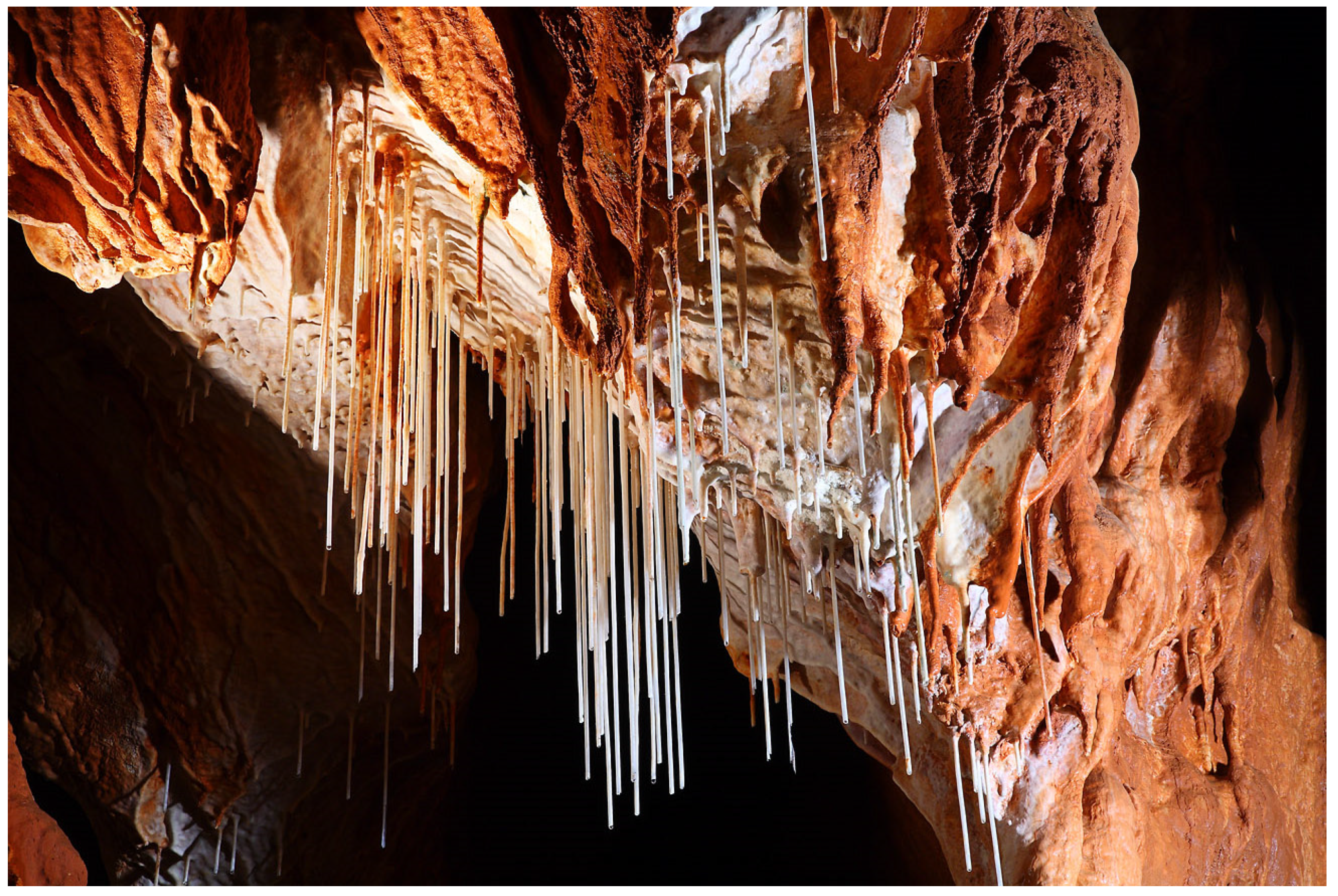 Sustainability 16 07783 g008