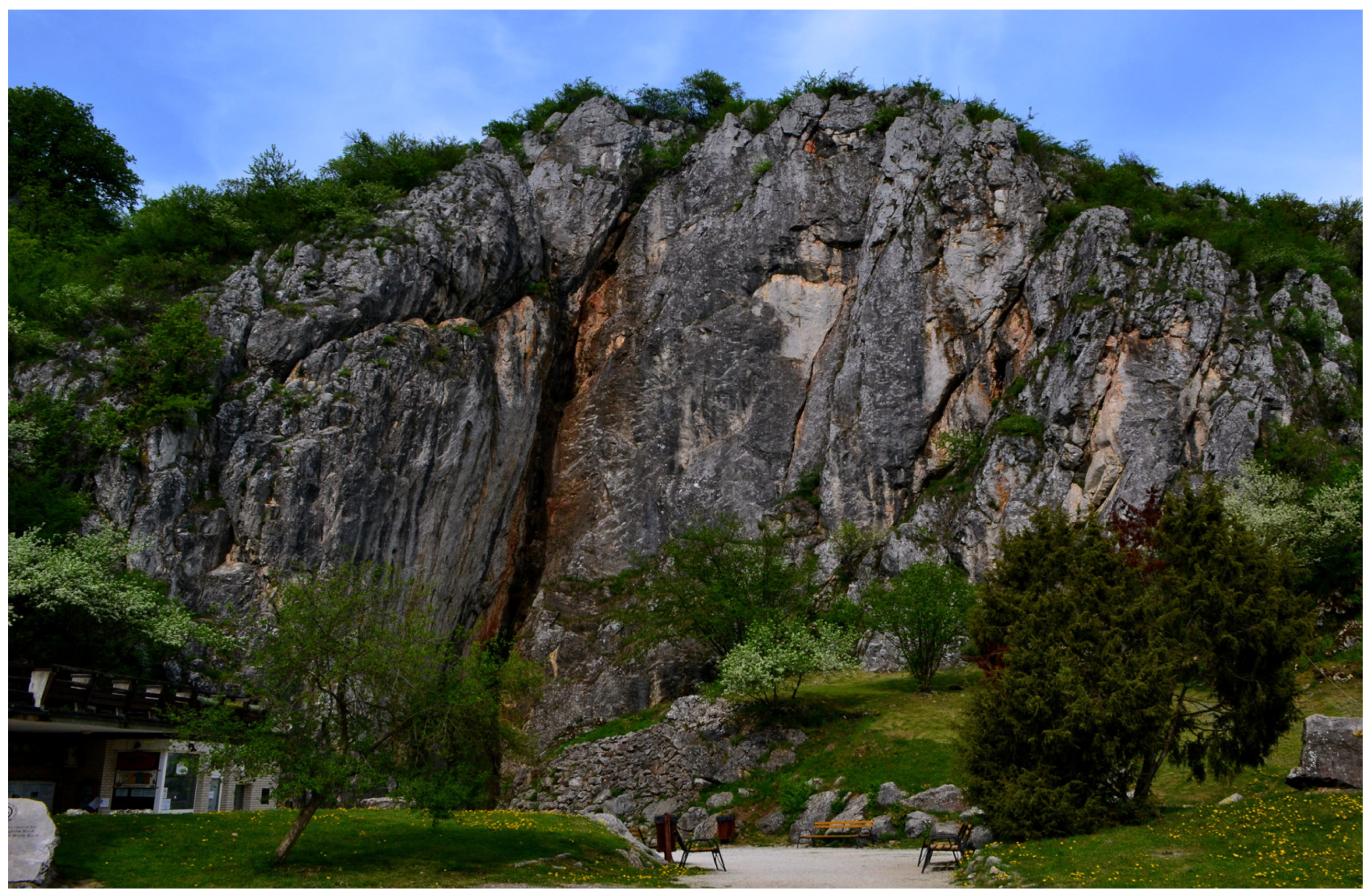 Sustainability 16 07783 g012