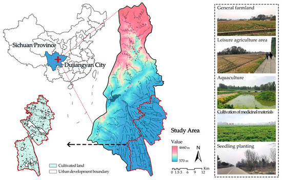 The Optimal Zoning of Non-Grain-Producing Cultivated Land