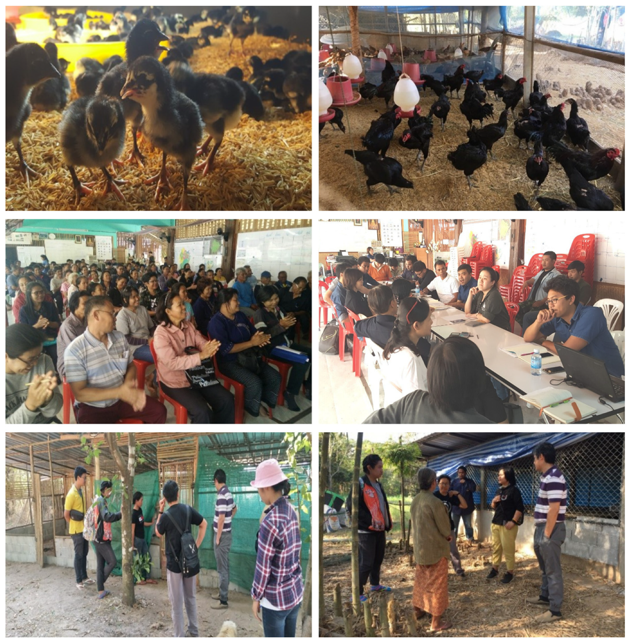 Sustainability 16 07811 g002 Sustainability 16 07811 g002